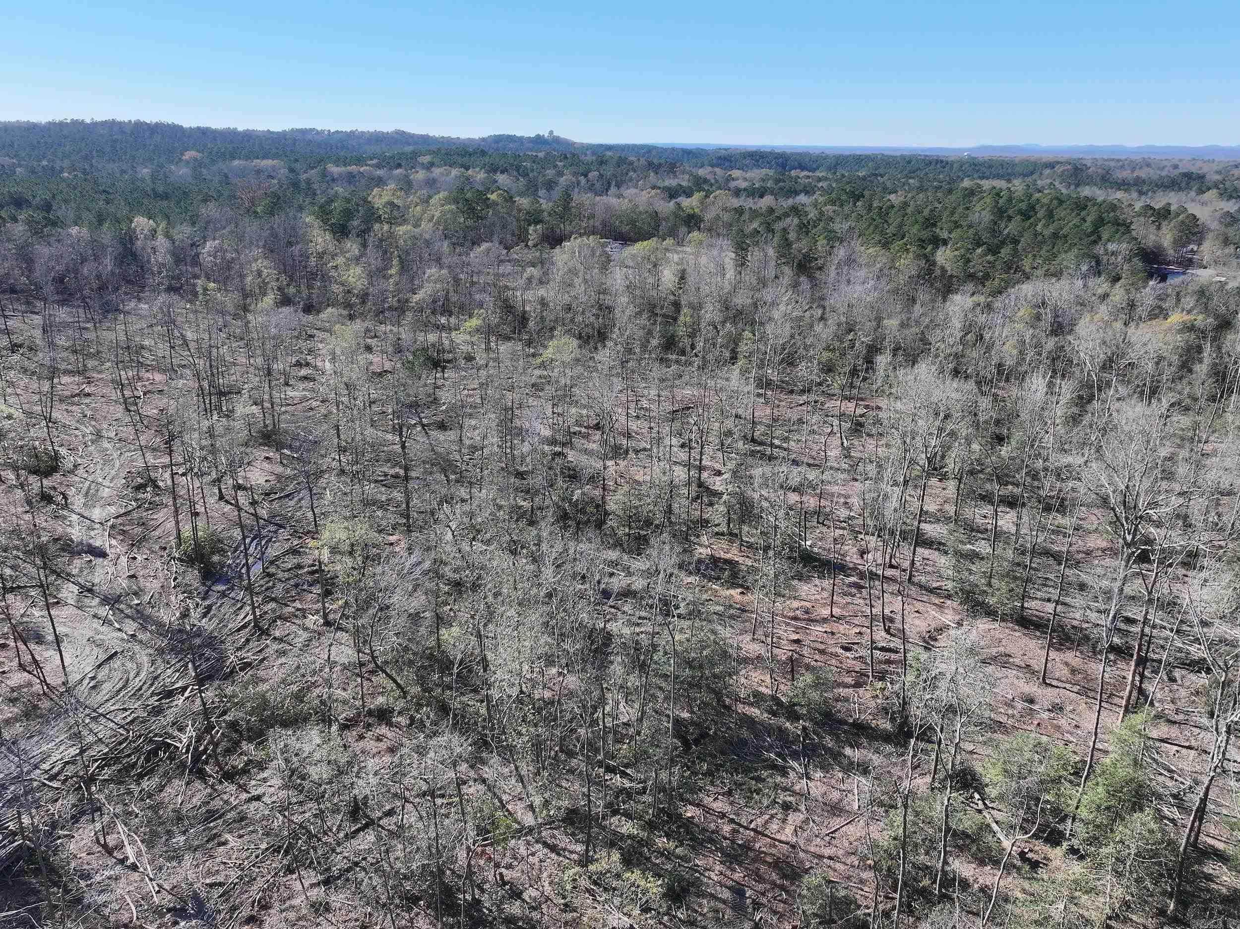 XXX Kaitlyn  Malvern, AR