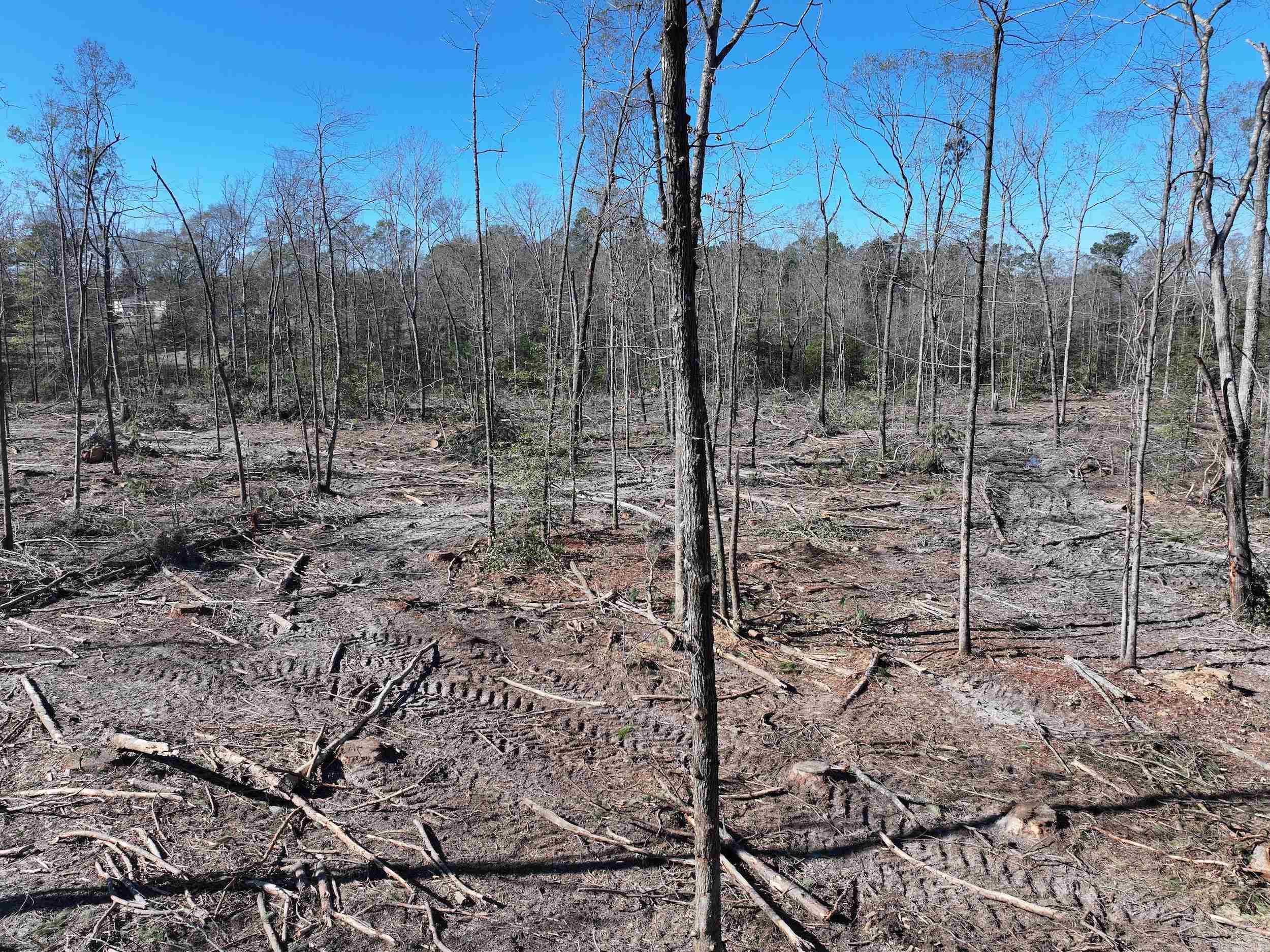 XXX Kaitlyn  Malvern, AR