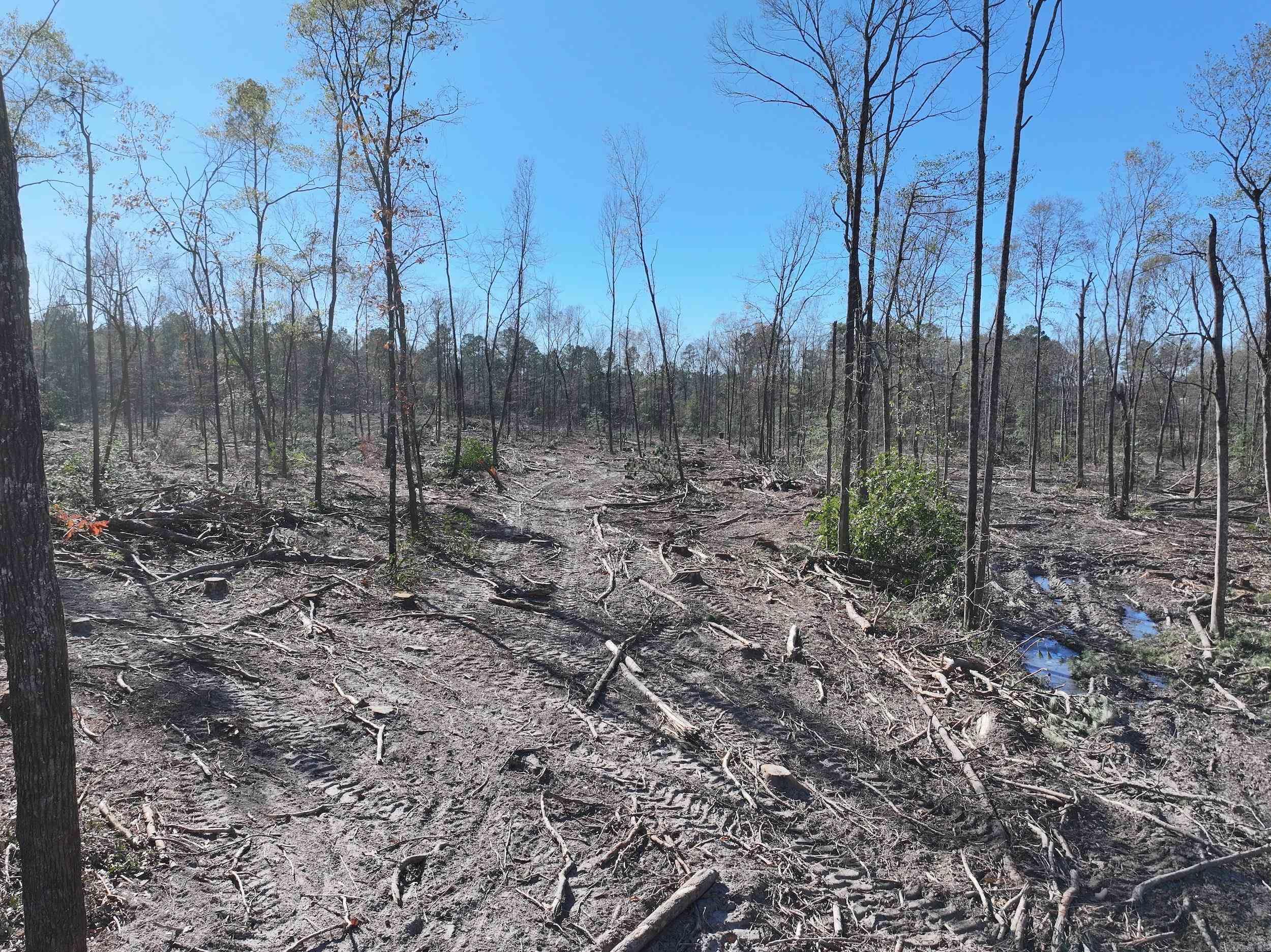 XXX Kaitlyn  Malvern, AR