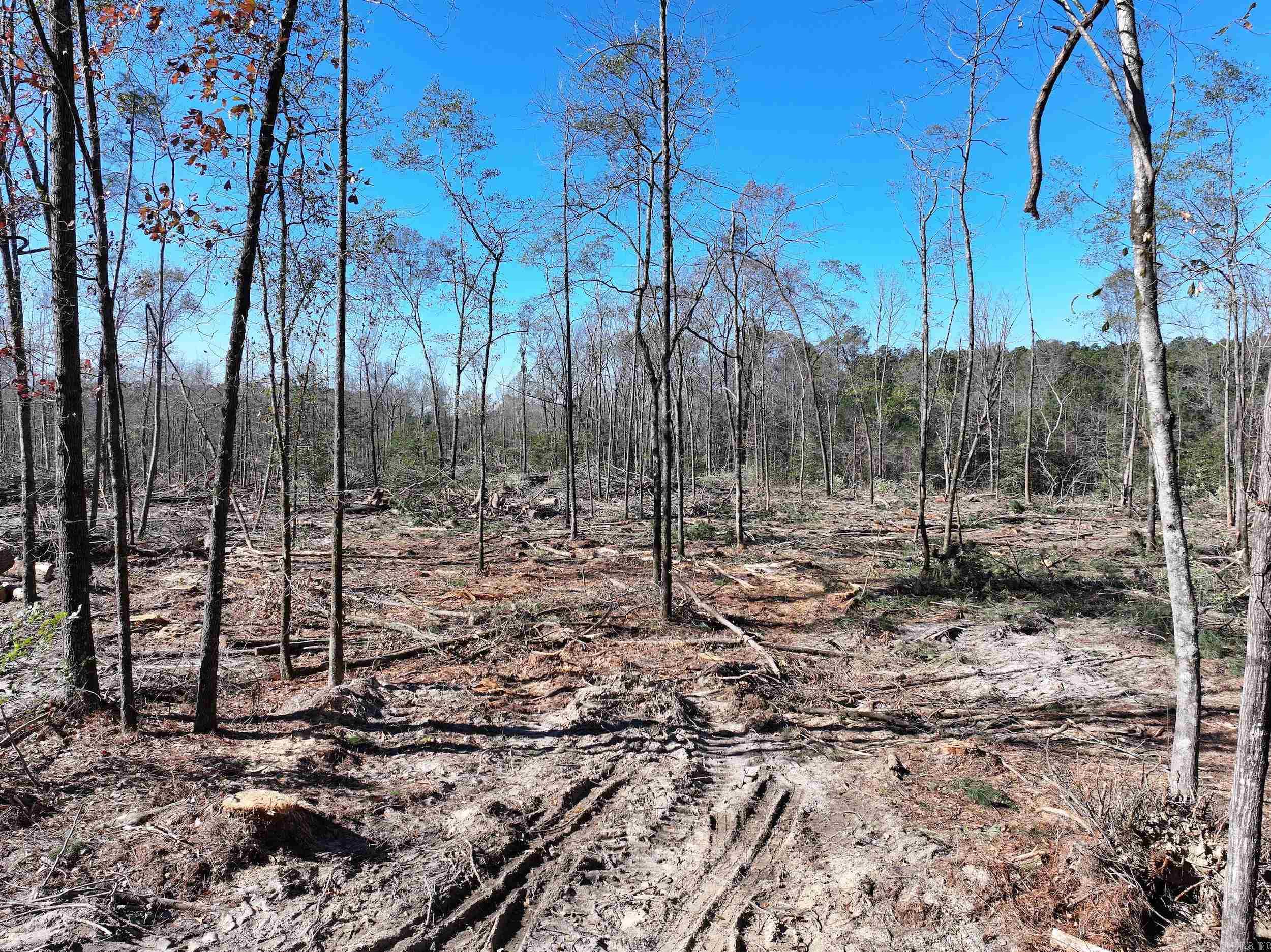 XXX Kaitlyn  Malvern, AR