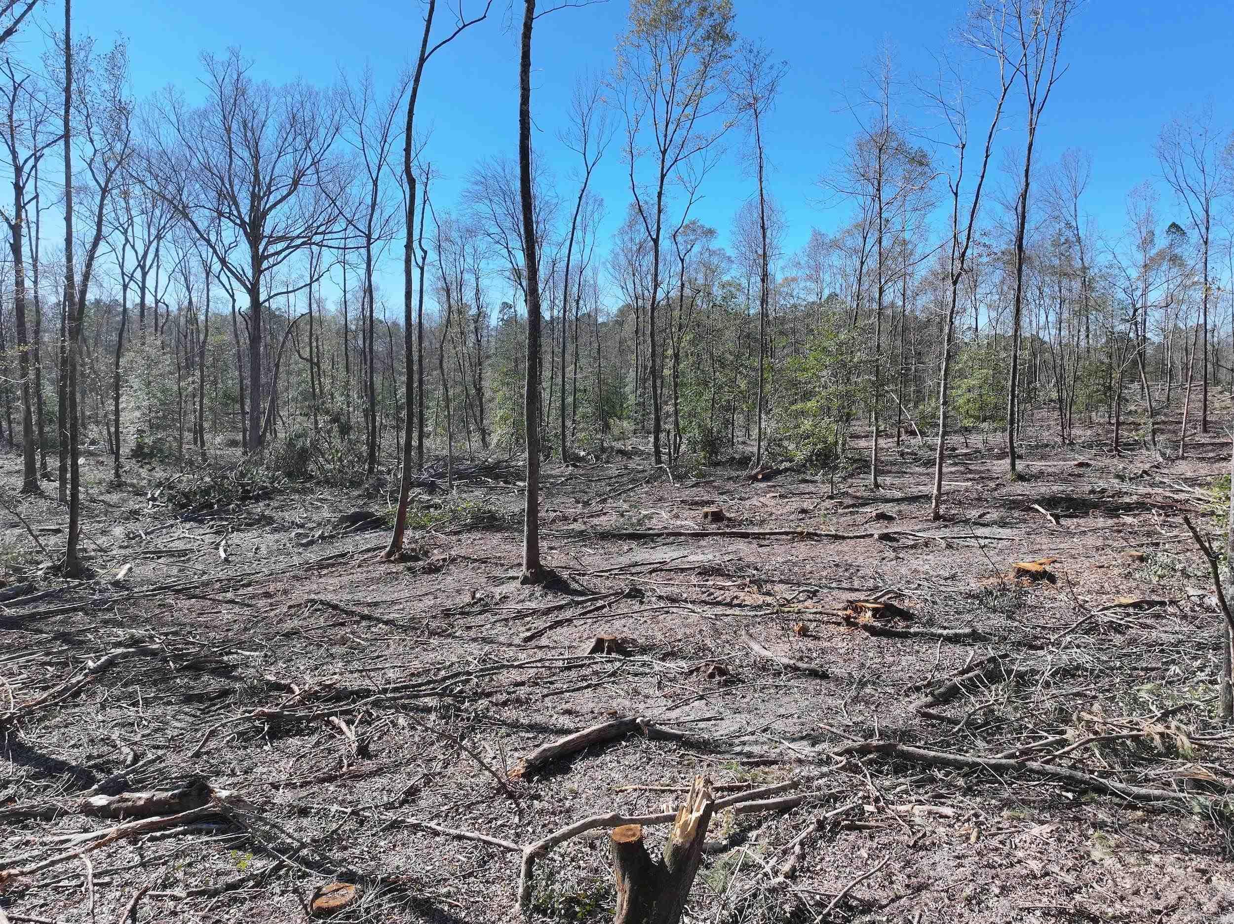 XXX Kaitlyn  Malvern, AR