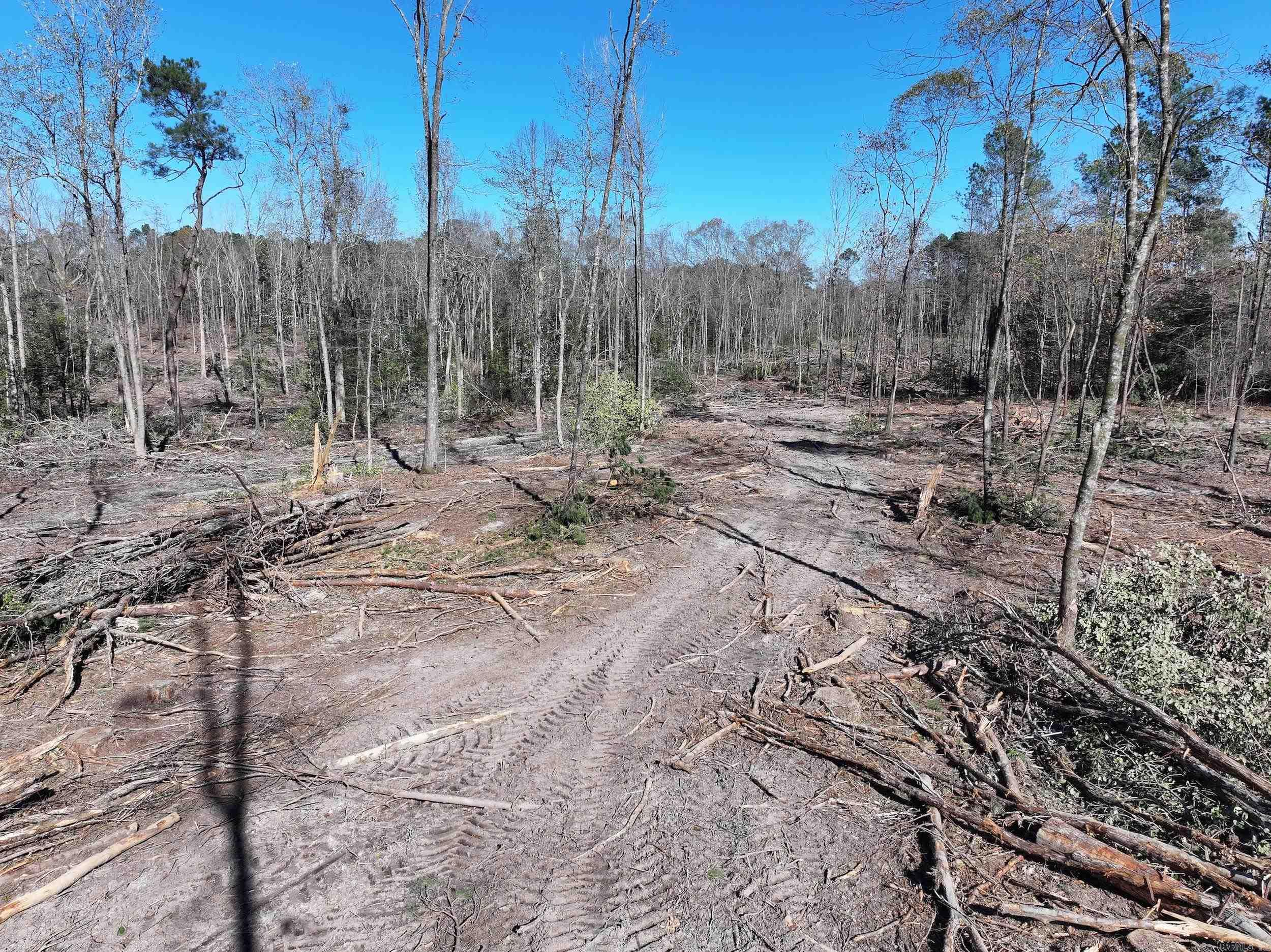 XXX Kaitlyn  Malvern, AR