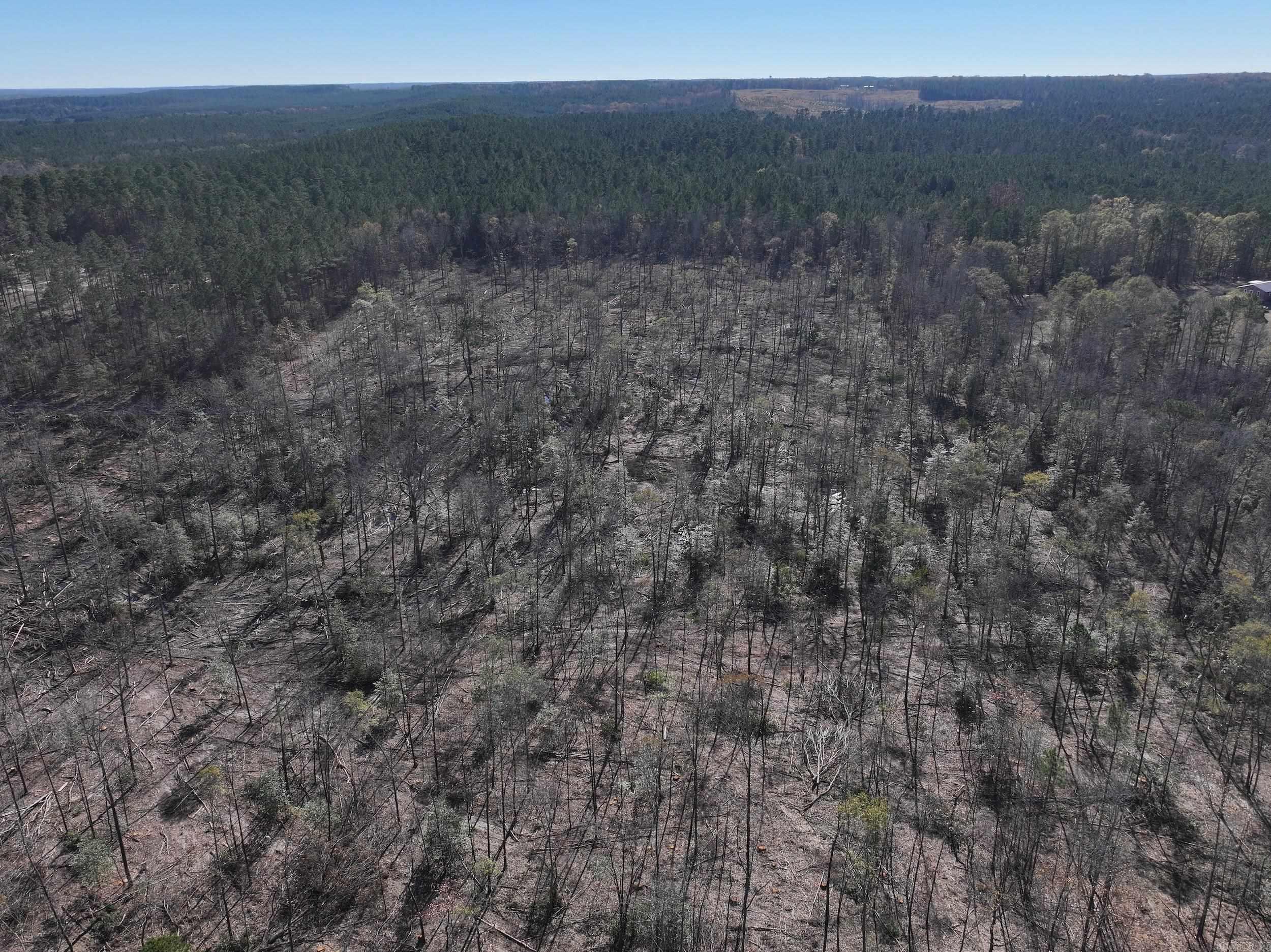 XXX Kaitlyn  Malvern, AR