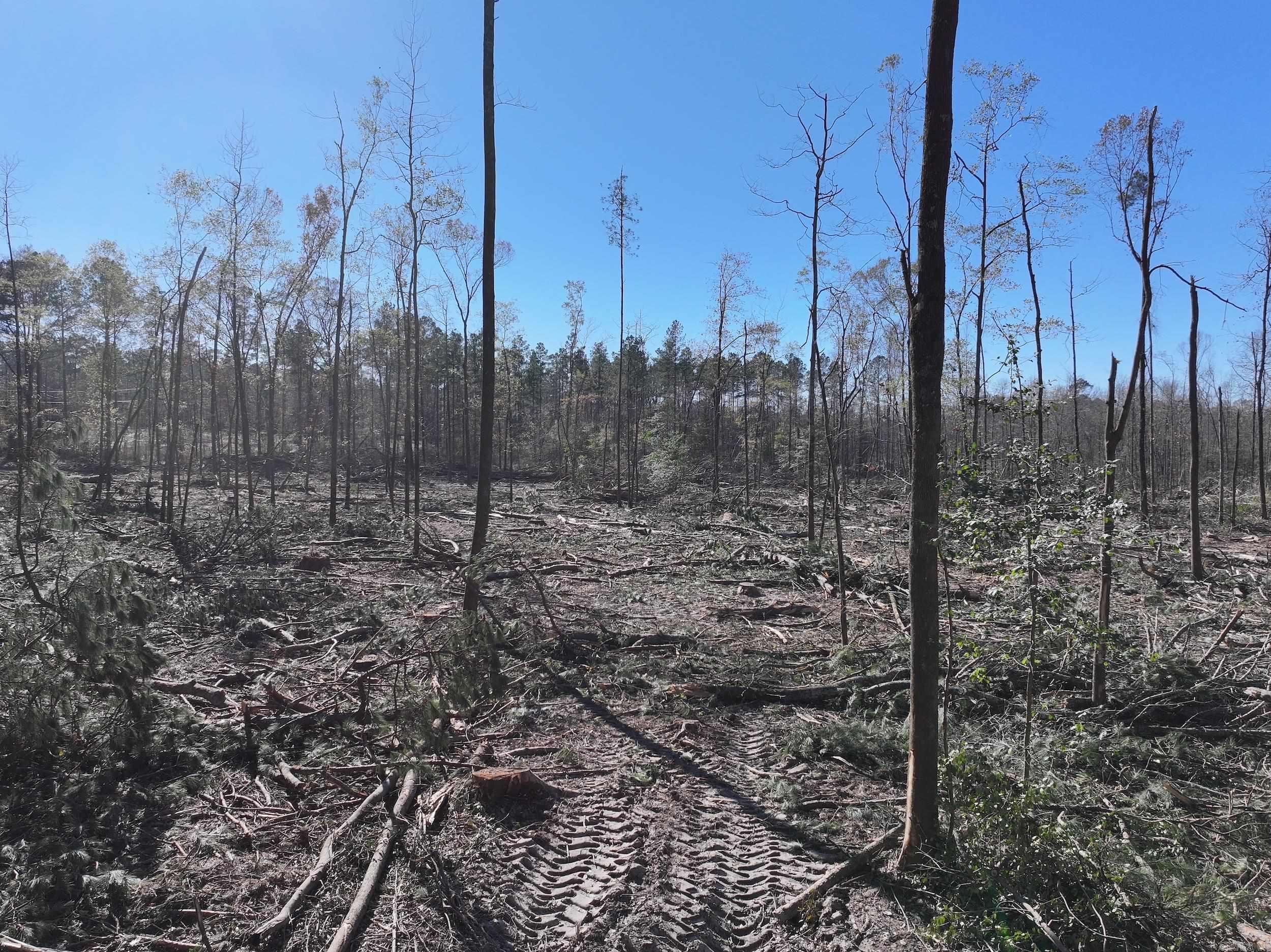 XXX Kaitlyn  Malvern, AR