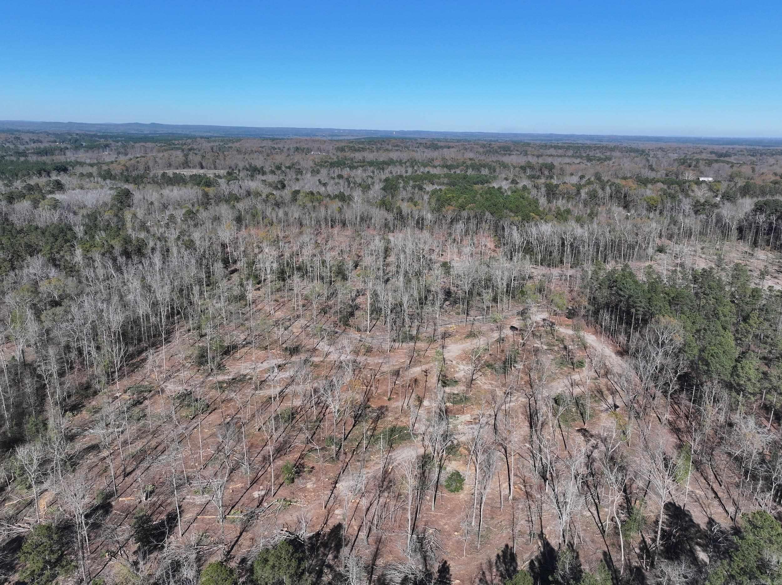 XXX Kaitlyn  Malvern, AR