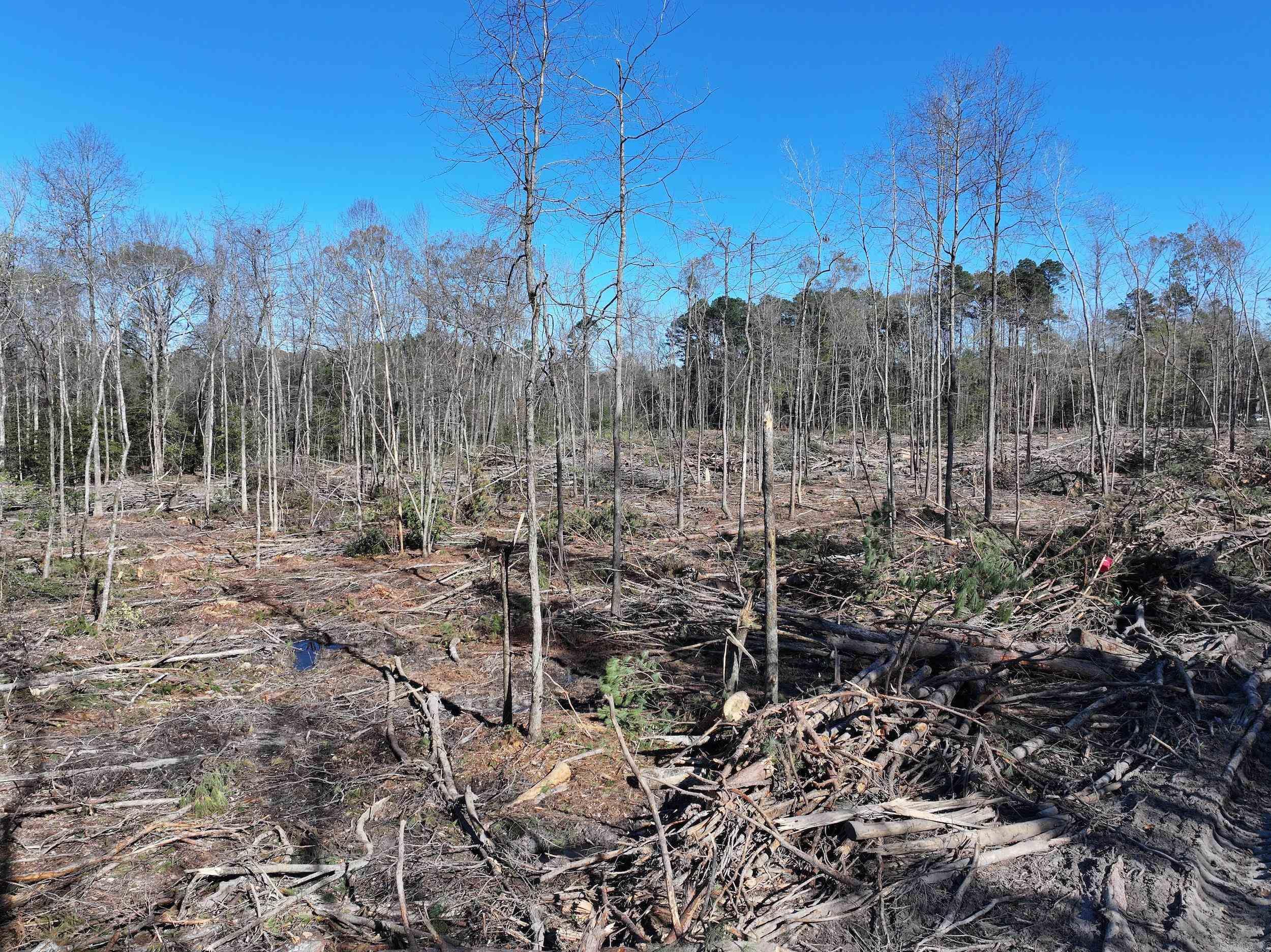 XXX Kaitlyn  Malvern, AR