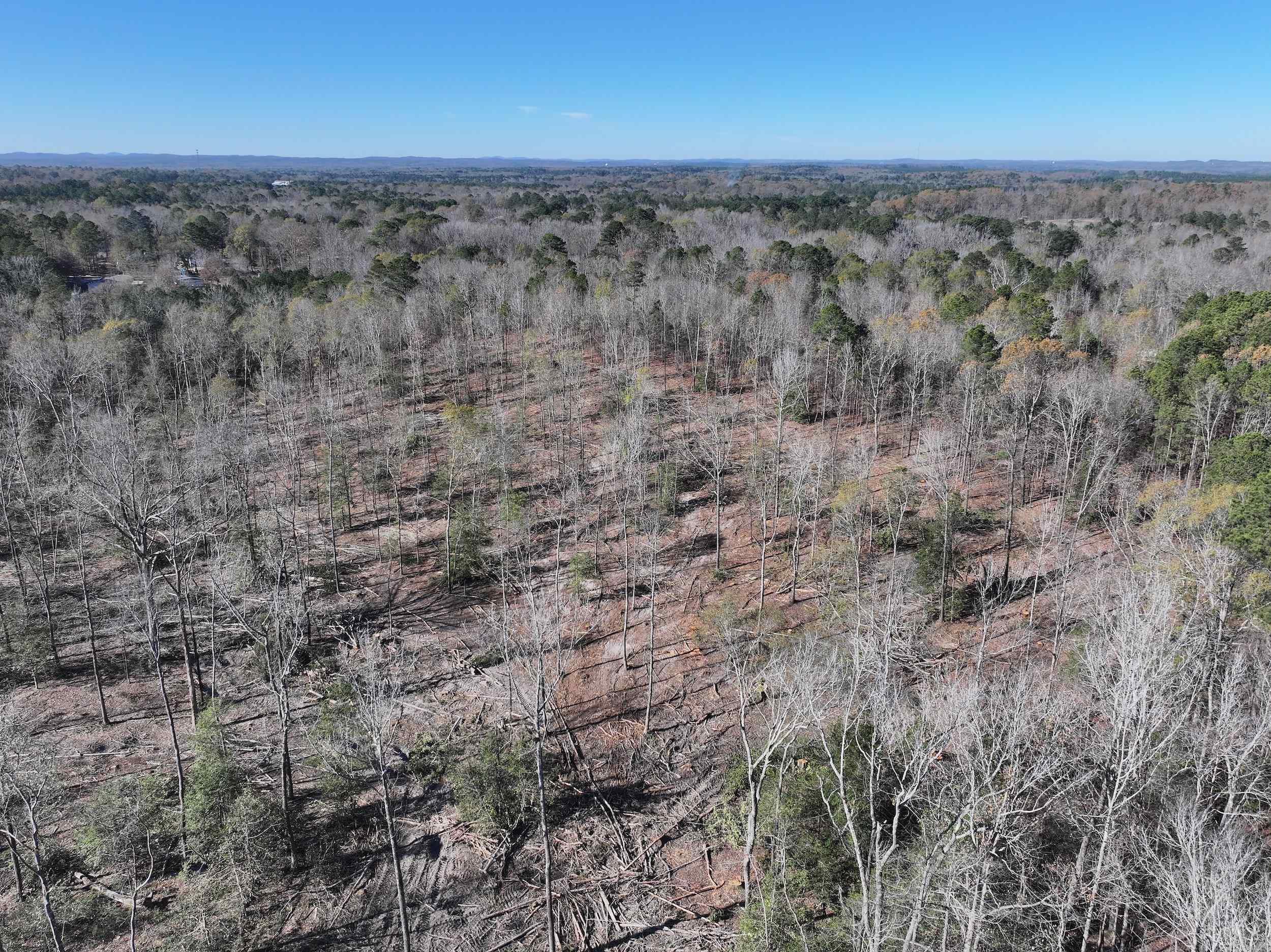 XXX Kaitlyn  Malvern, AR