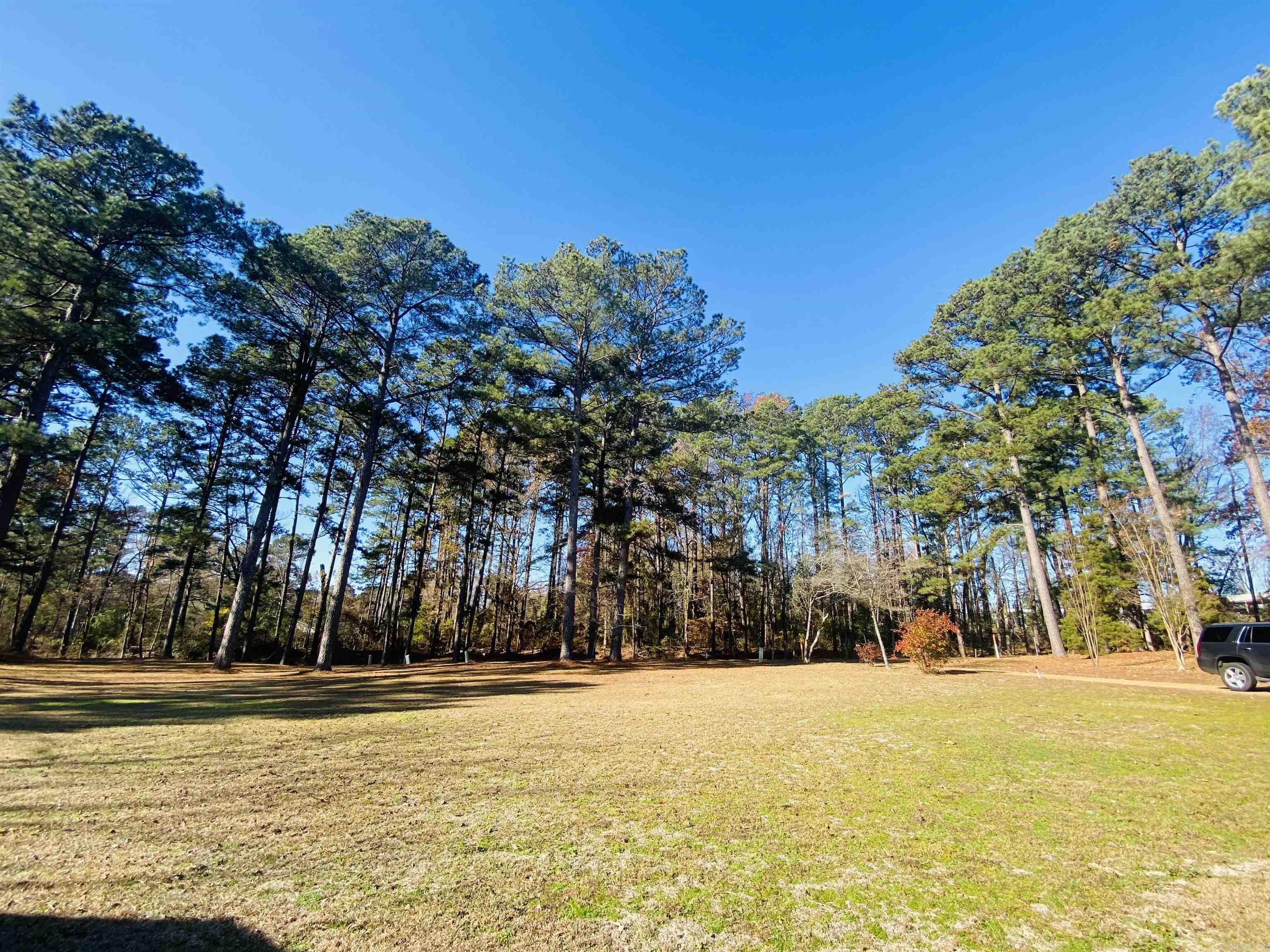 3489 Mt. Holly Rd. Camden, AR 71701