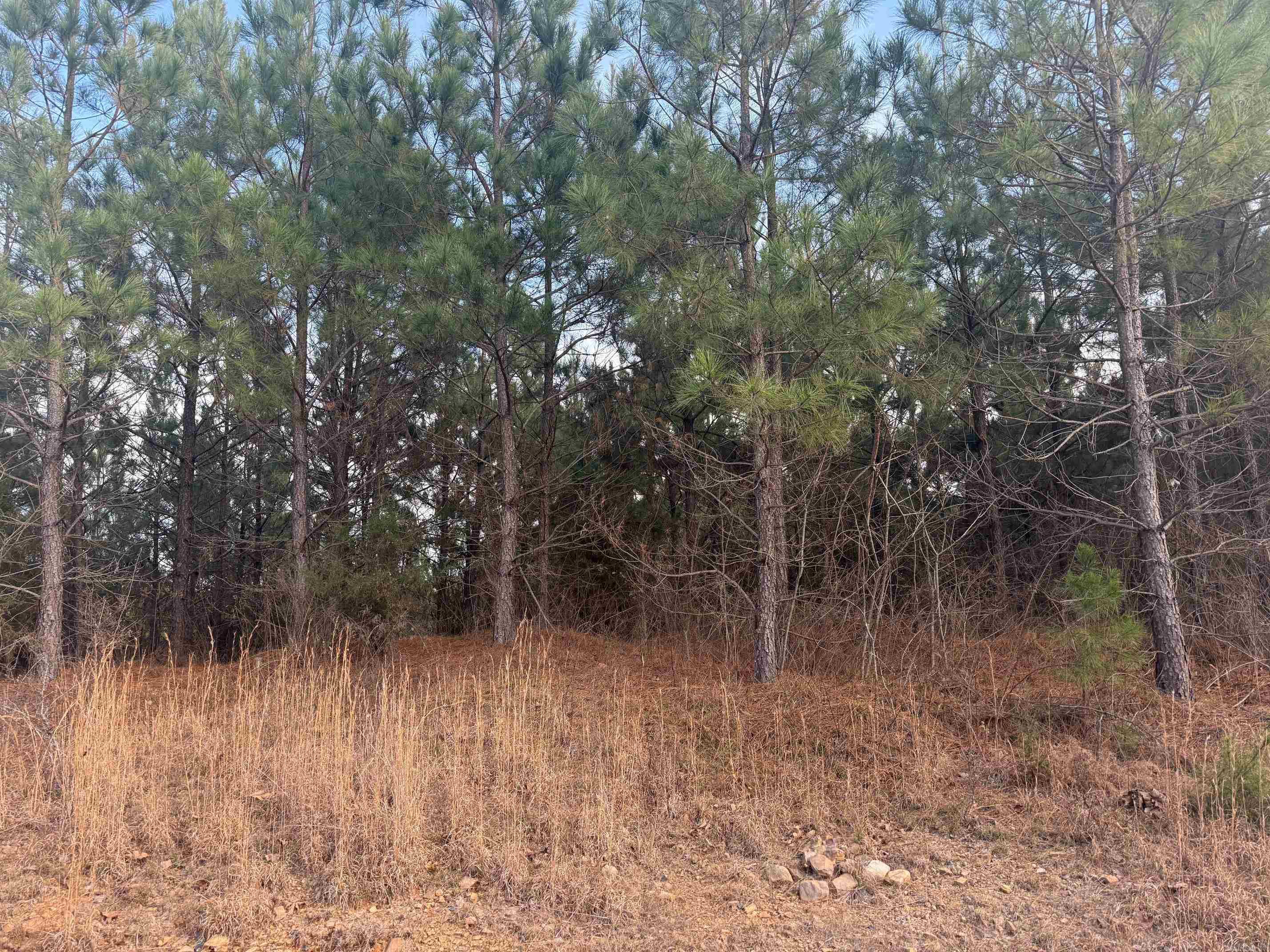 TBD Polk Road 40  Mena, AR