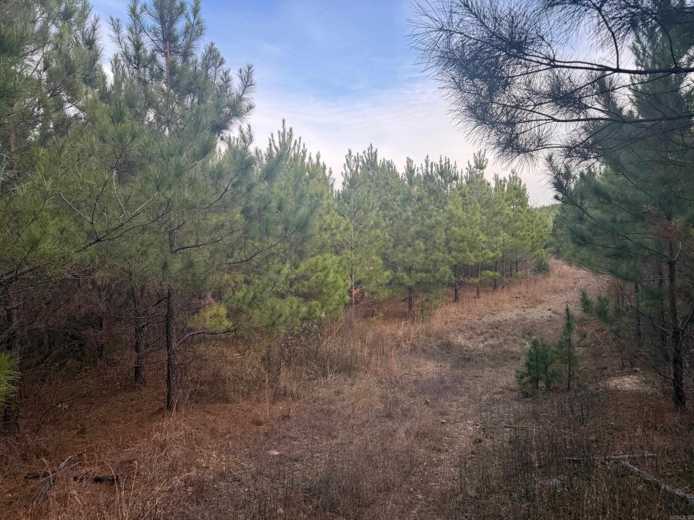 TBD Polk Road 40  Mena, AR