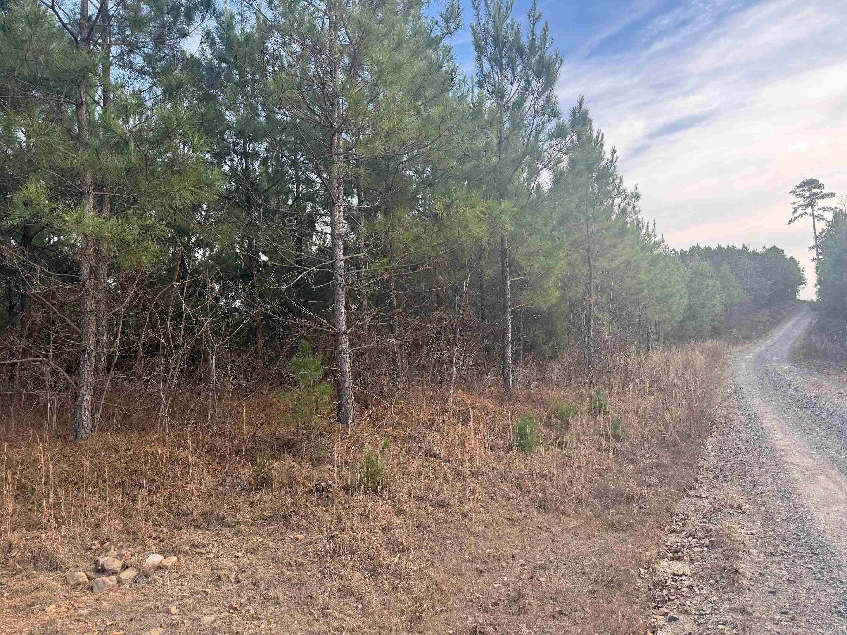 TBD Polk Road 40  Mena, AR