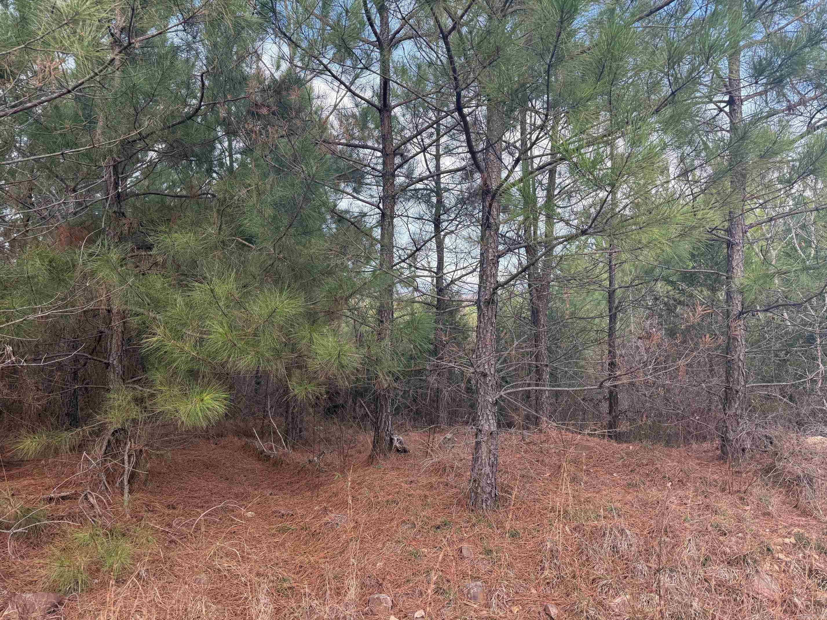 TBD Polk Road 40  Mena, AR