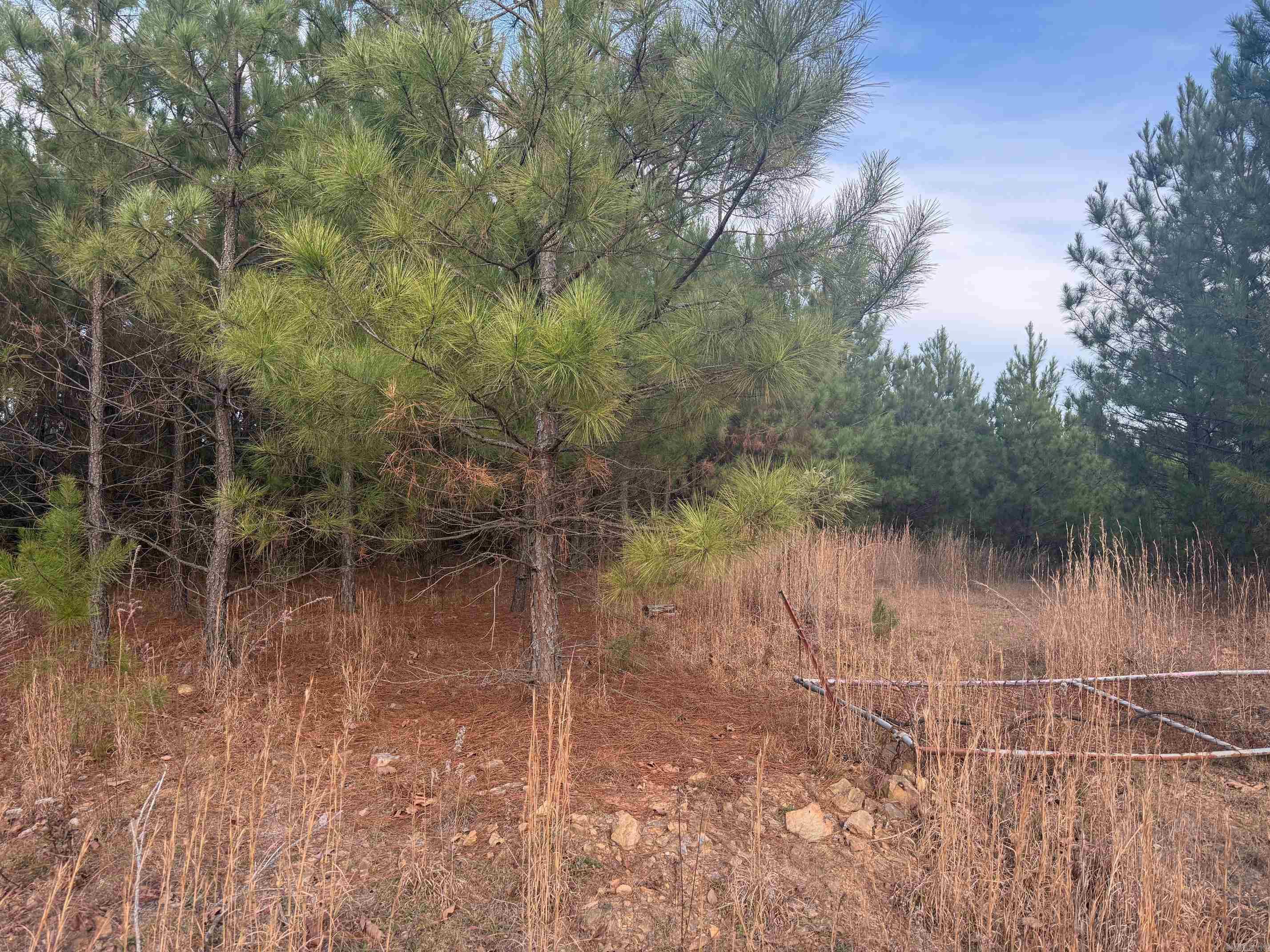 TBD Polk Road 40  Mena, AR