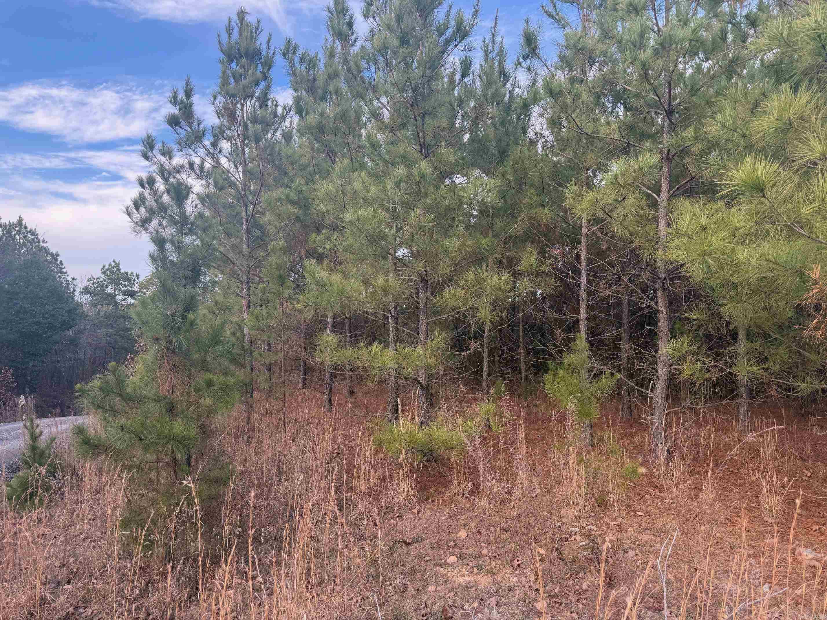 TBD Polk Road 40  Mena, AR