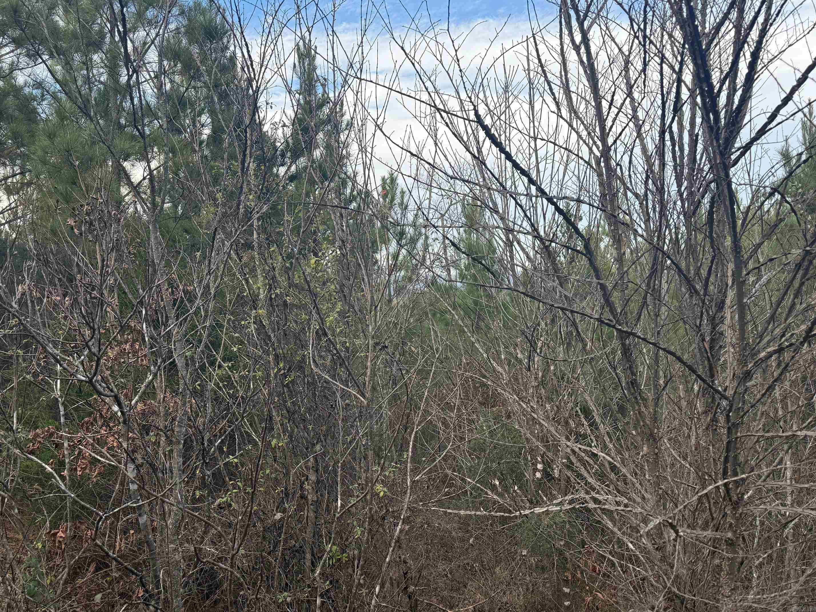 TBD Polk Road 40  Mena, AR