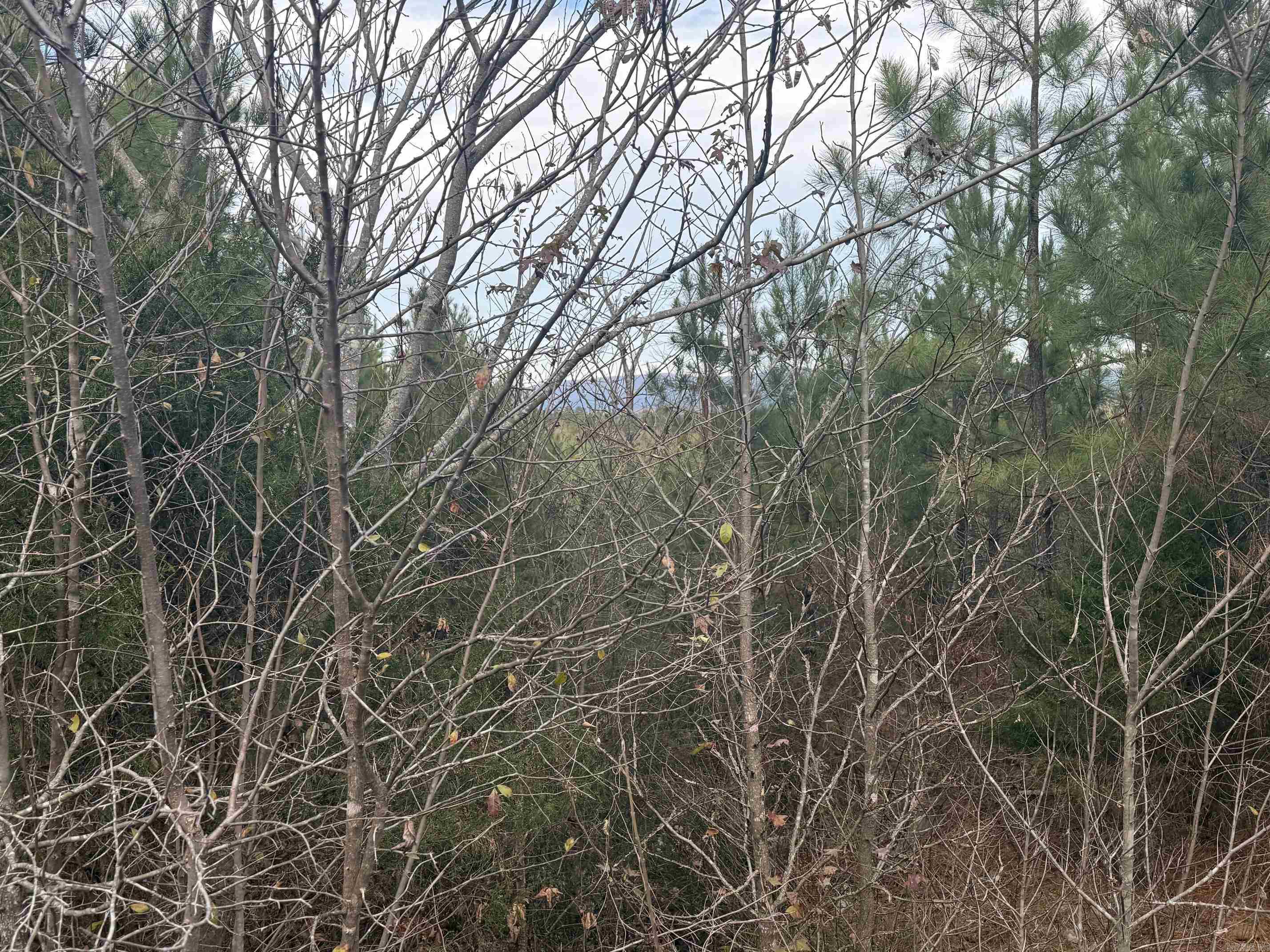 TBD Polk Road 40  Mena, AR