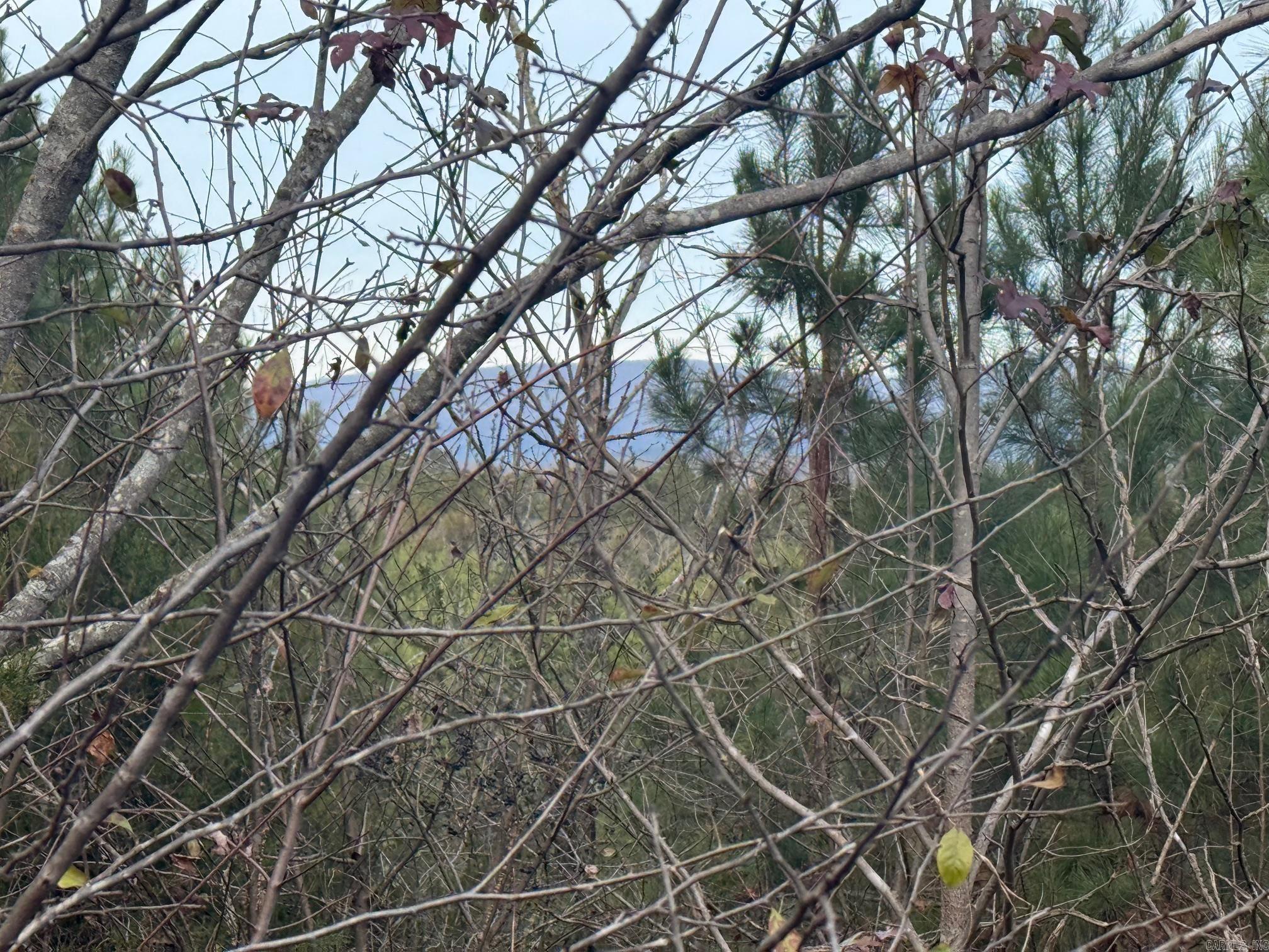 TBD Polk Road 40  Mena, AR