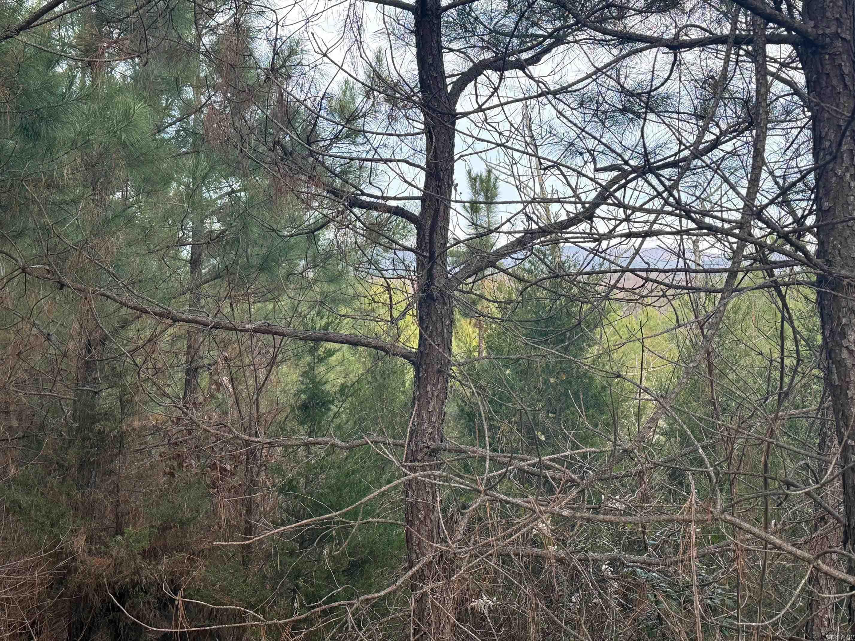 TBD Polk Road 40  Mena, AR