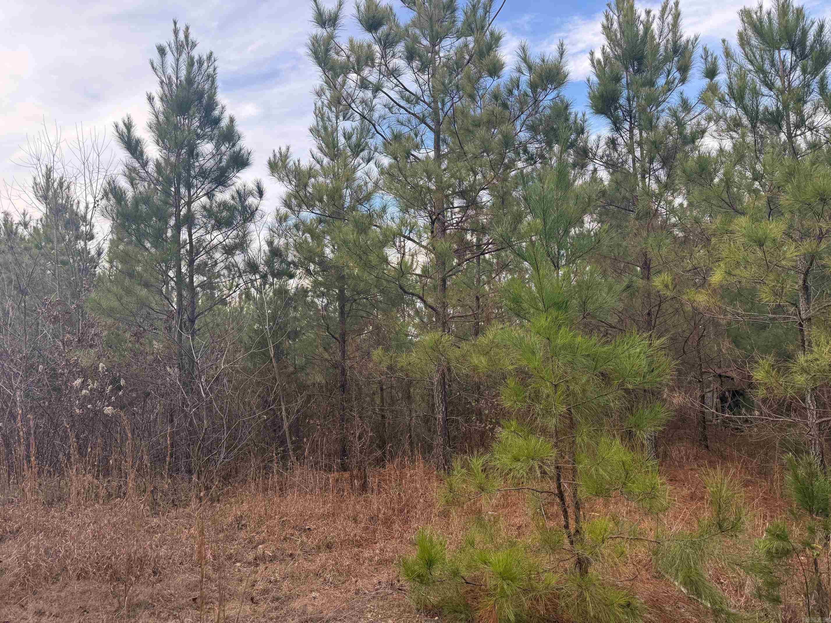 TBD Polk Road 40  Mena, AR