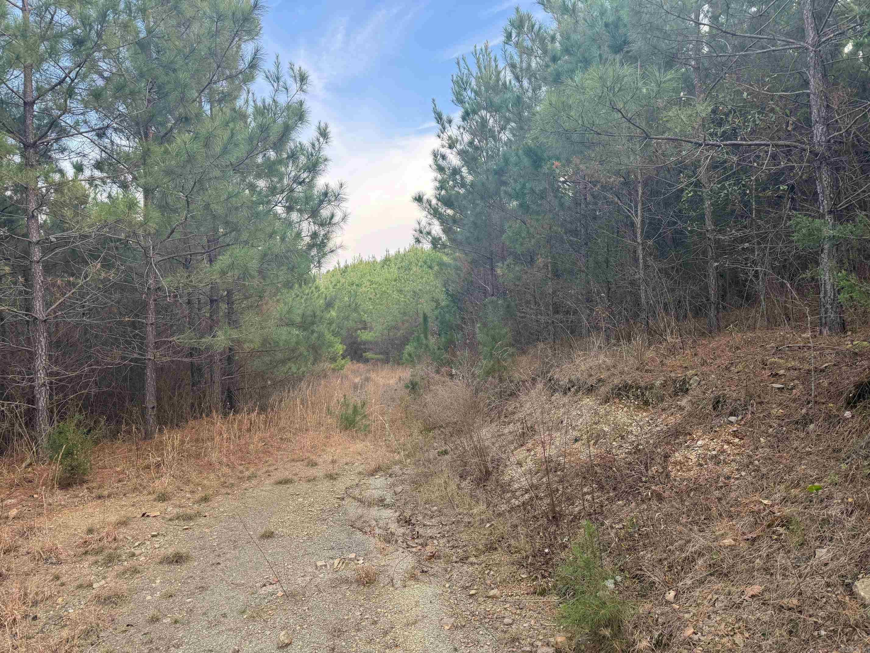 TBD Polk Road 40  Mena, AR