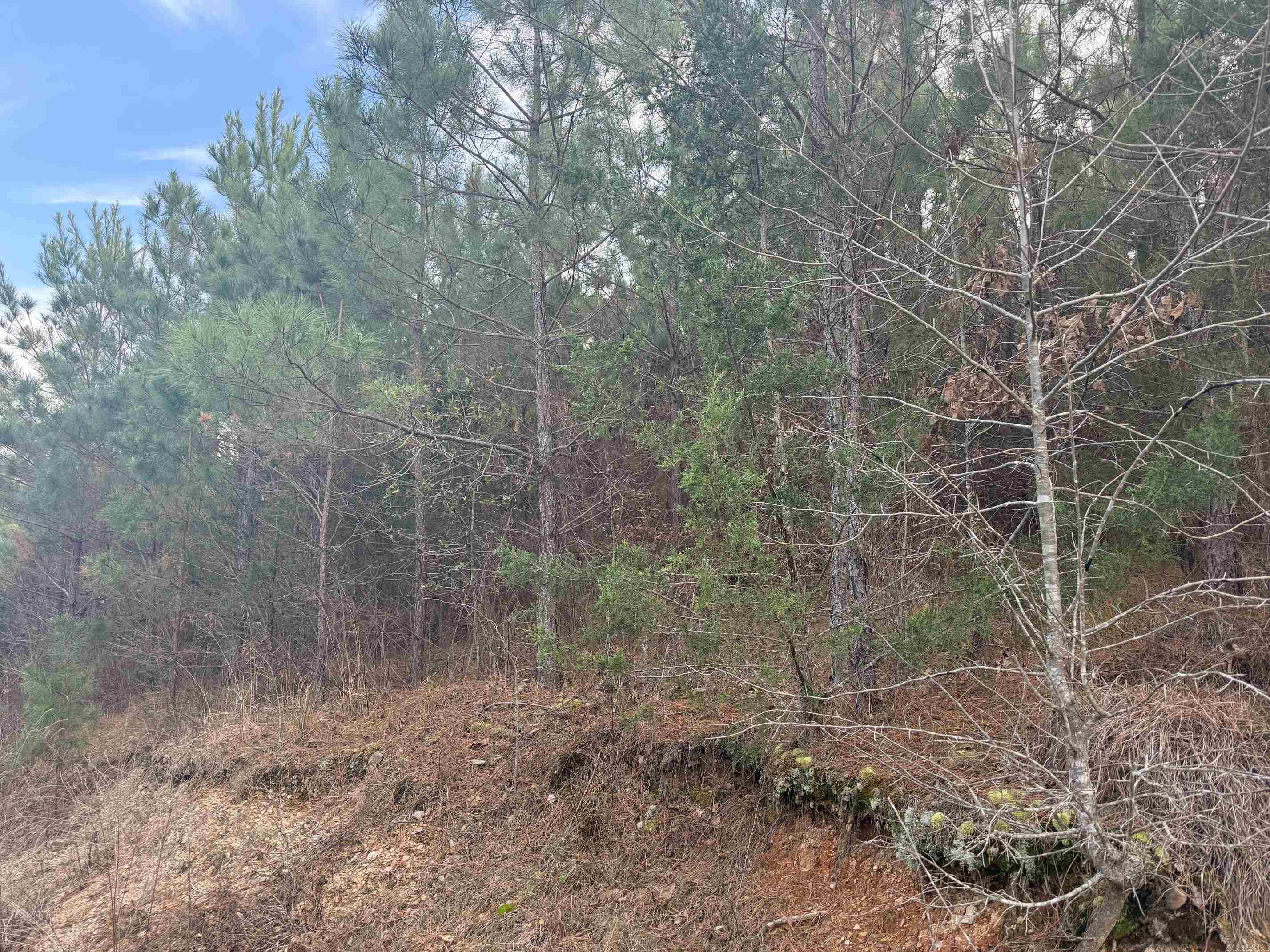 TBD Polk Road 40  Mena, AR