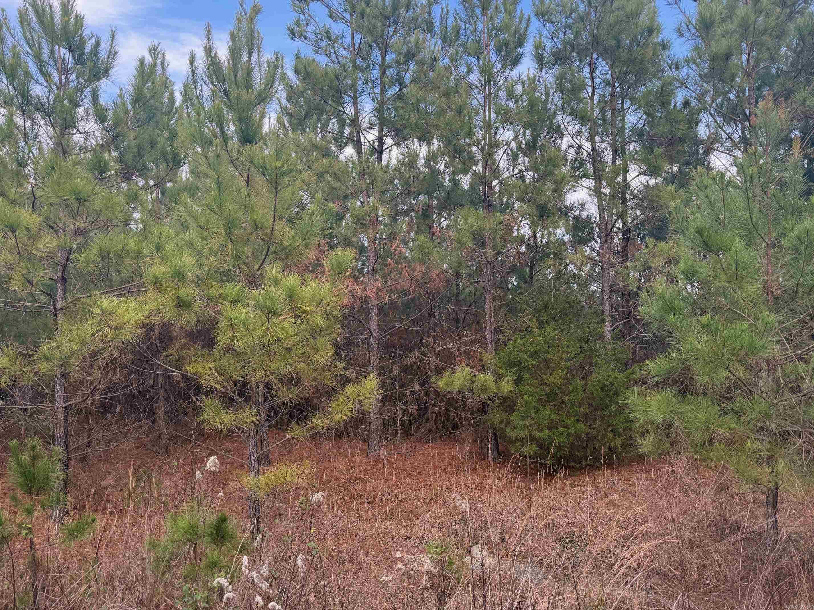 TBD Polk Road 40  Mena, AR