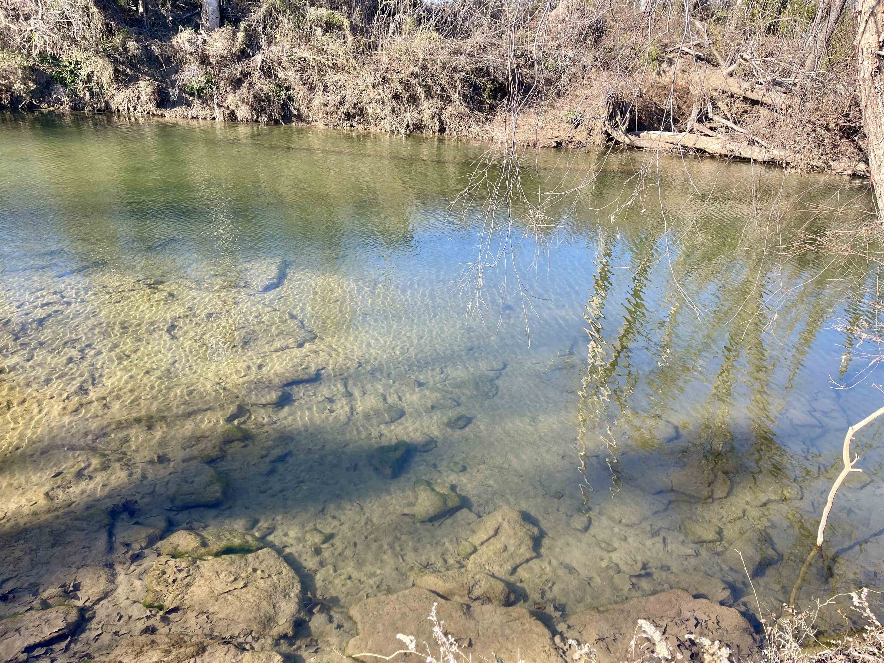 0 Phillips  Franklin, AR