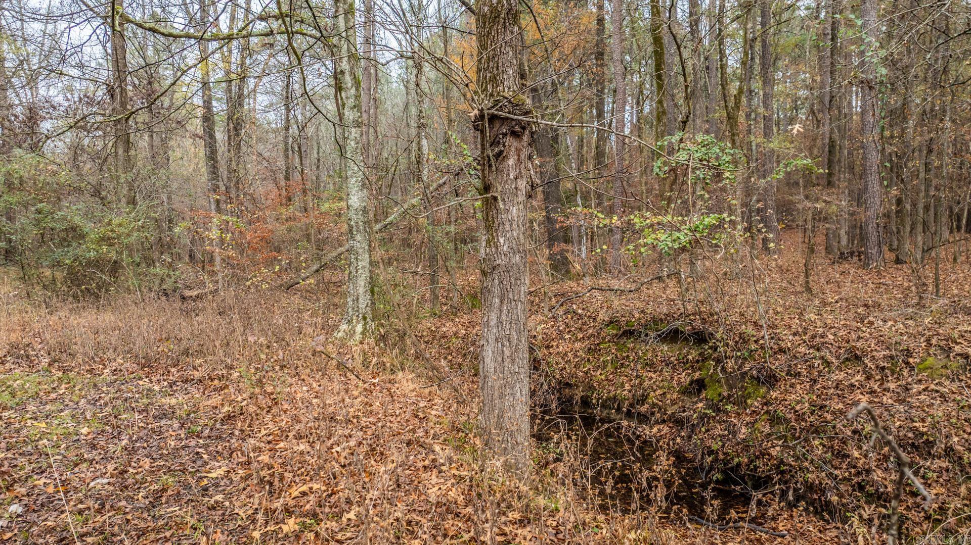 1730 Graham  Benton, AR