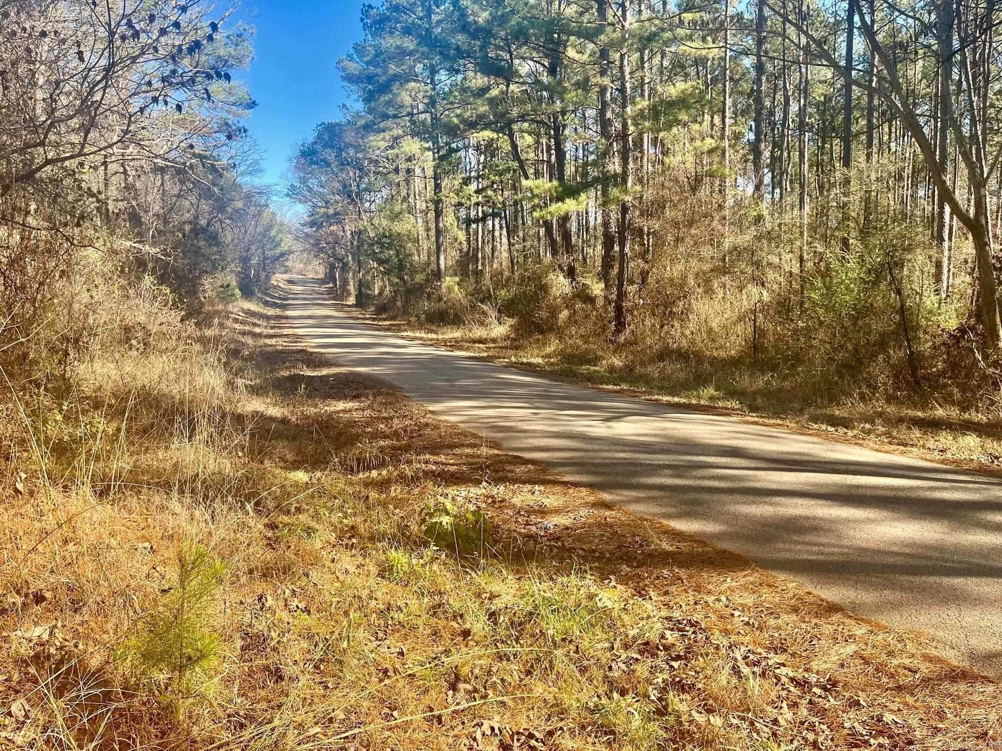 930 Cox Creek  Bismarck, AR