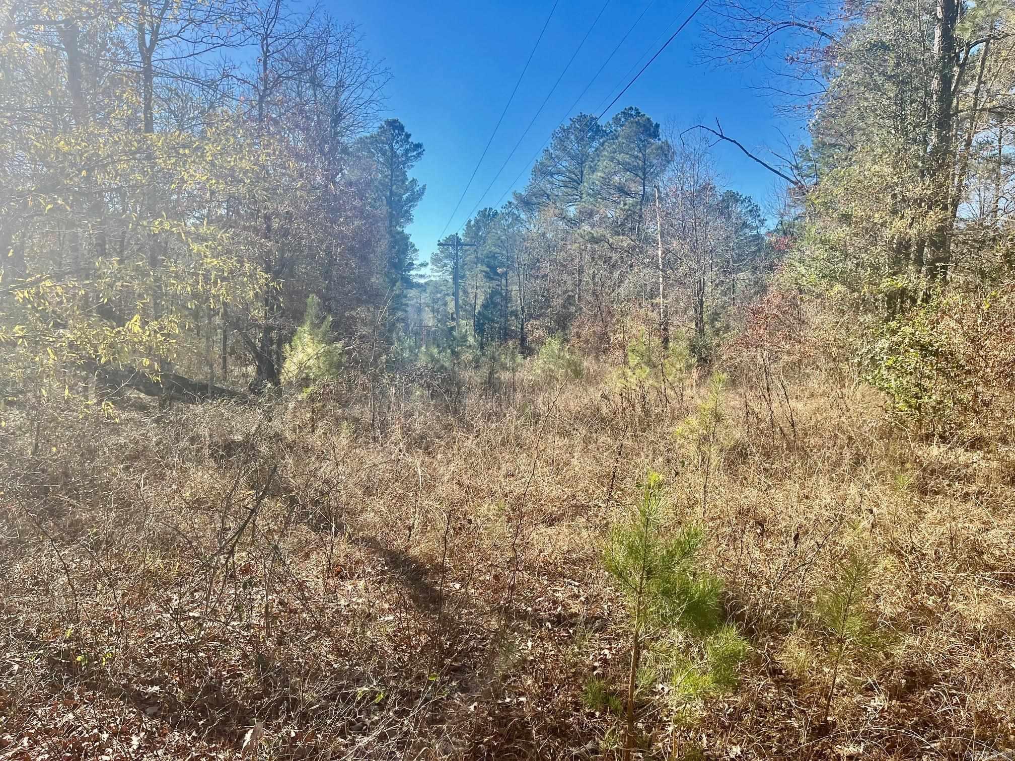 930 Cox Creek  Bismarck, AR