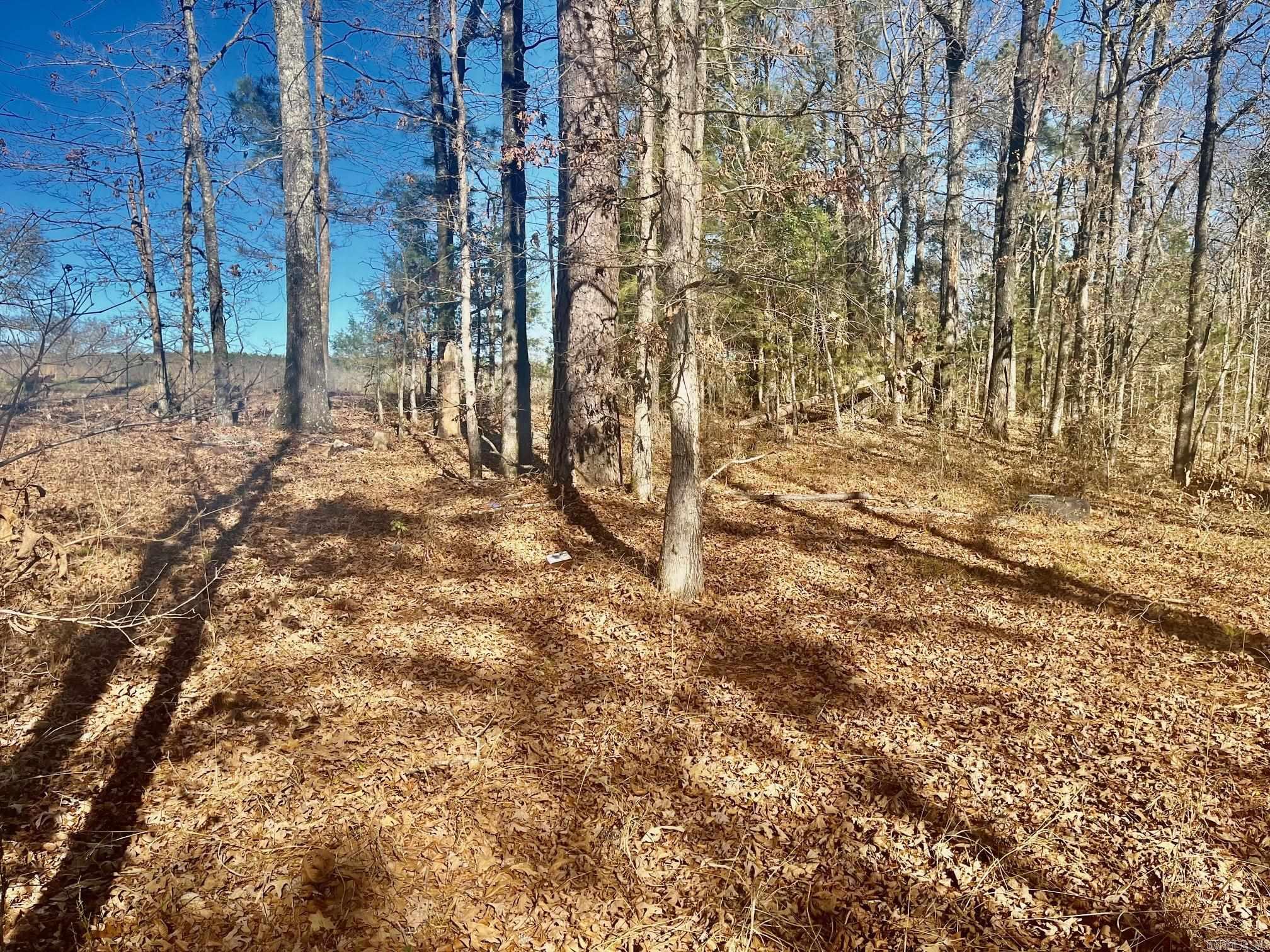 930 Cox Creek  Bismarck, AR