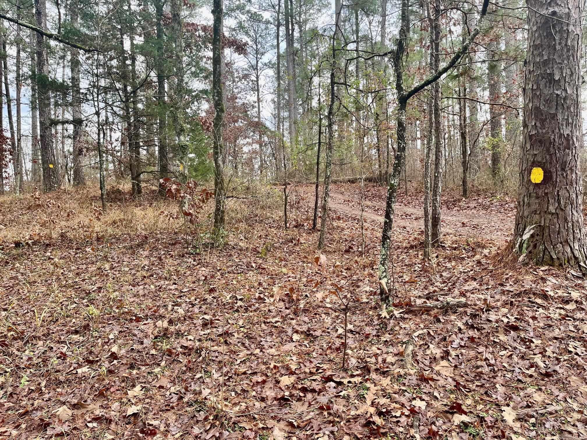 930 Cox Creek  Bismarck, AR