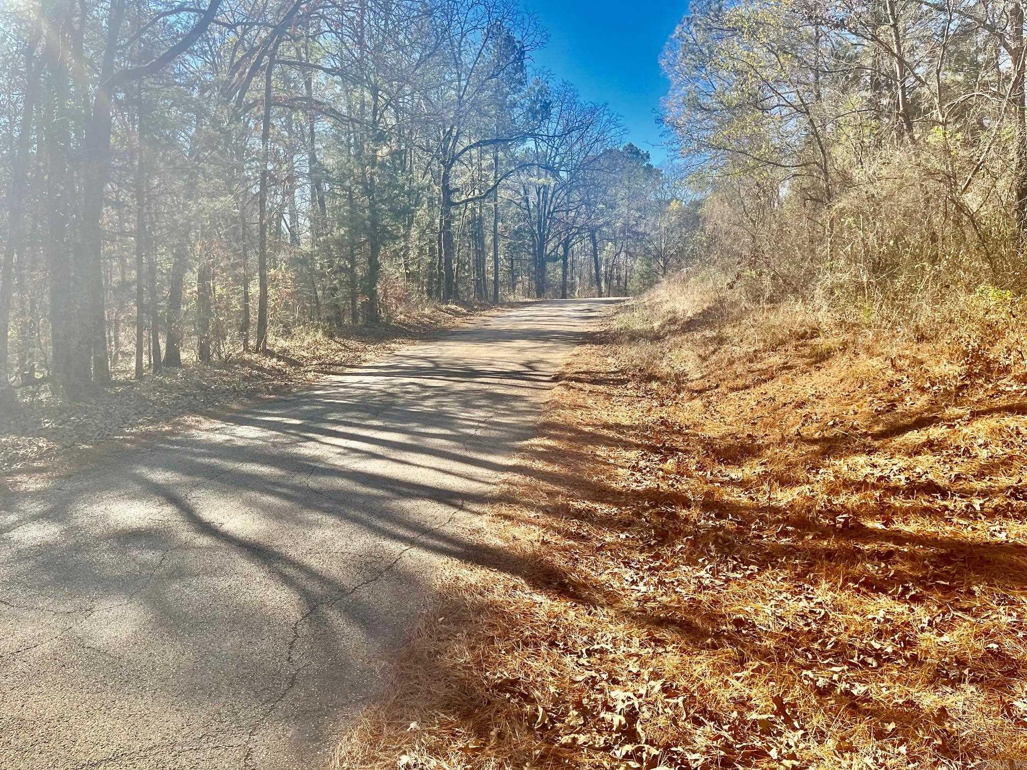 930 Cox Creek  Bismarck, AR