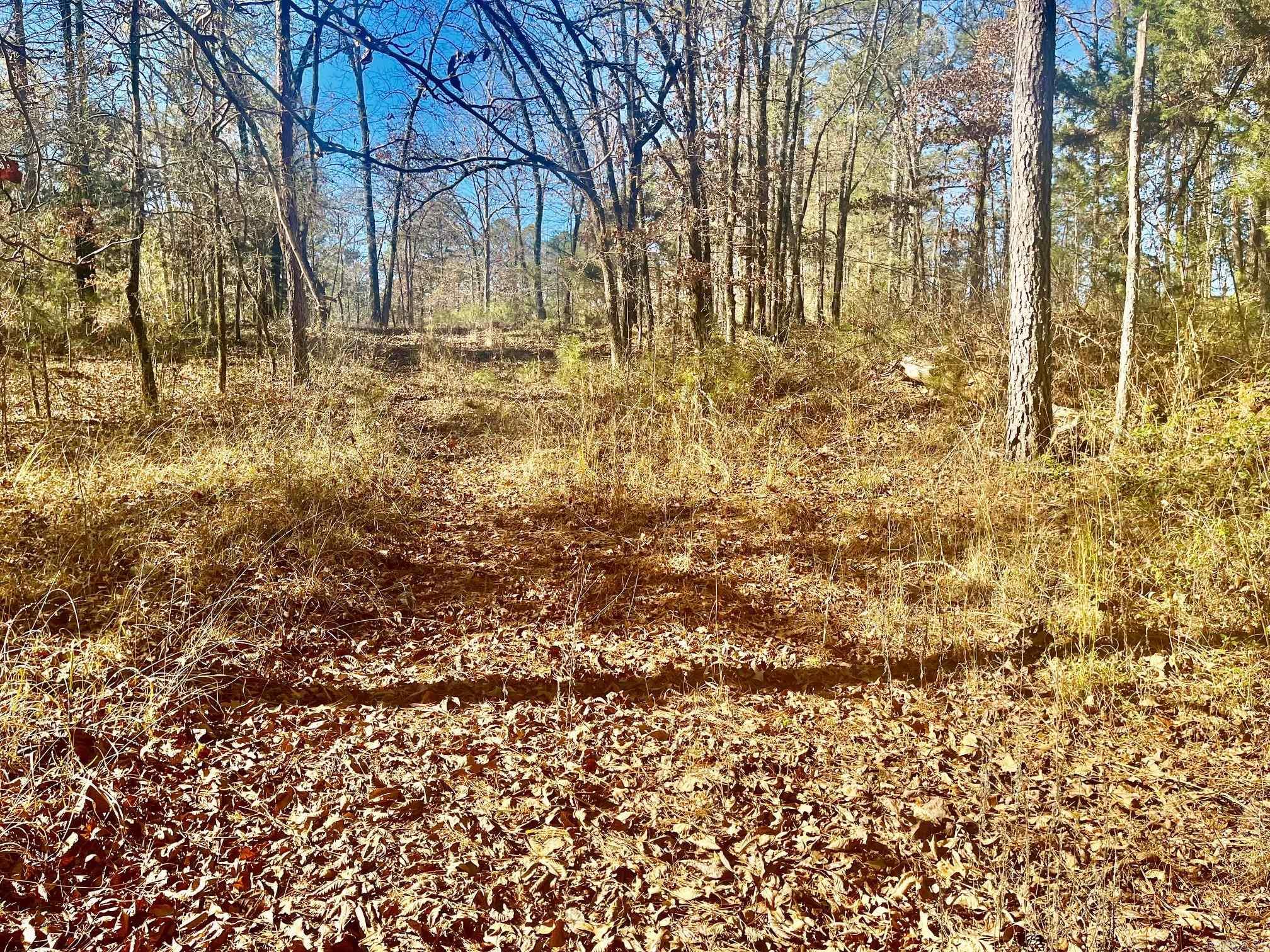 930 Cox Creek  Bismarck, AR