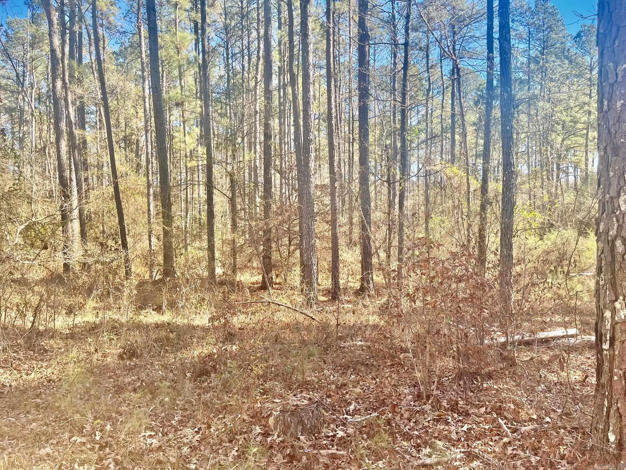 930 Cox Creek  Bismarck, AR