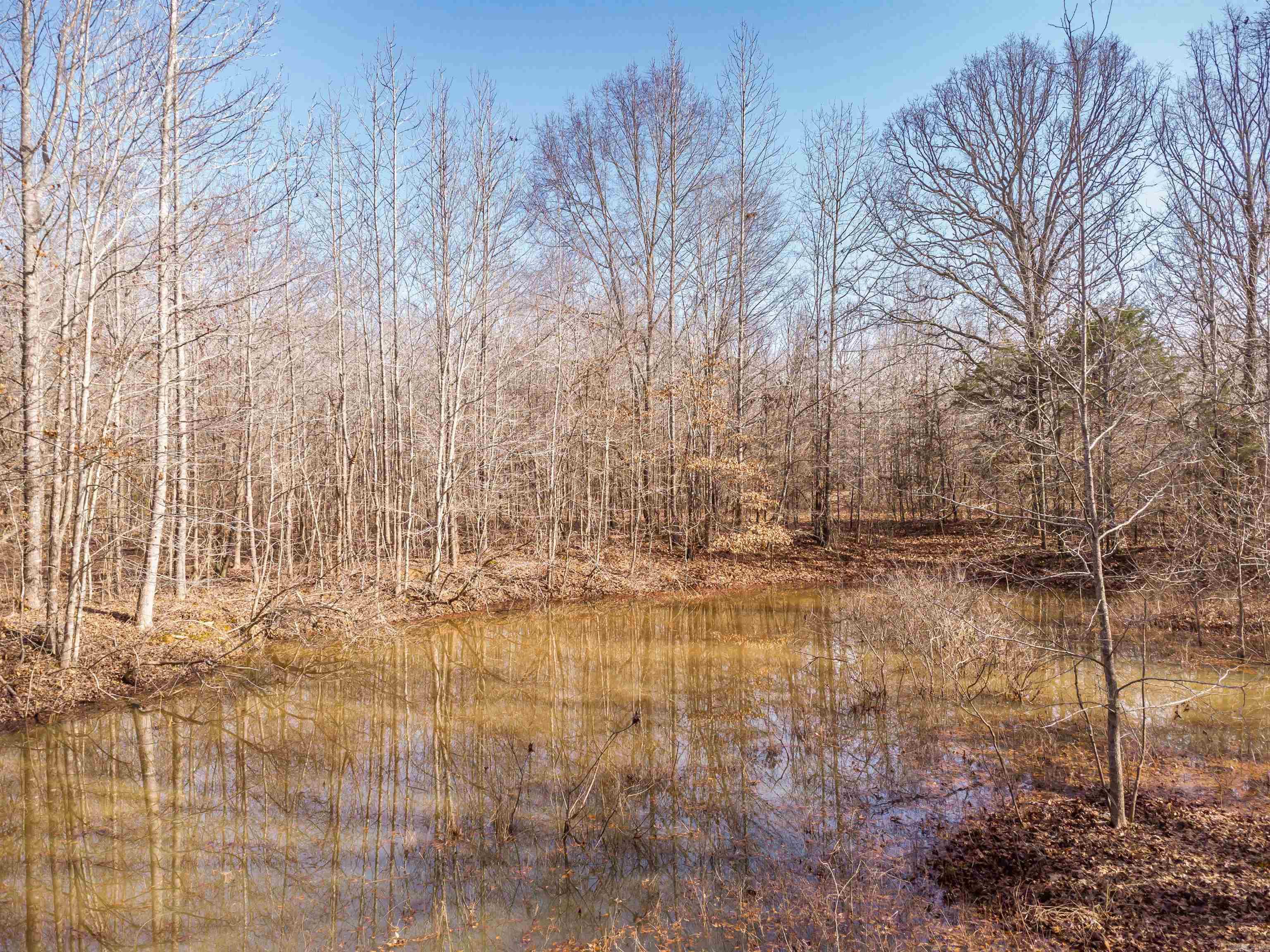 0000 Clay Hill  Austin, AR