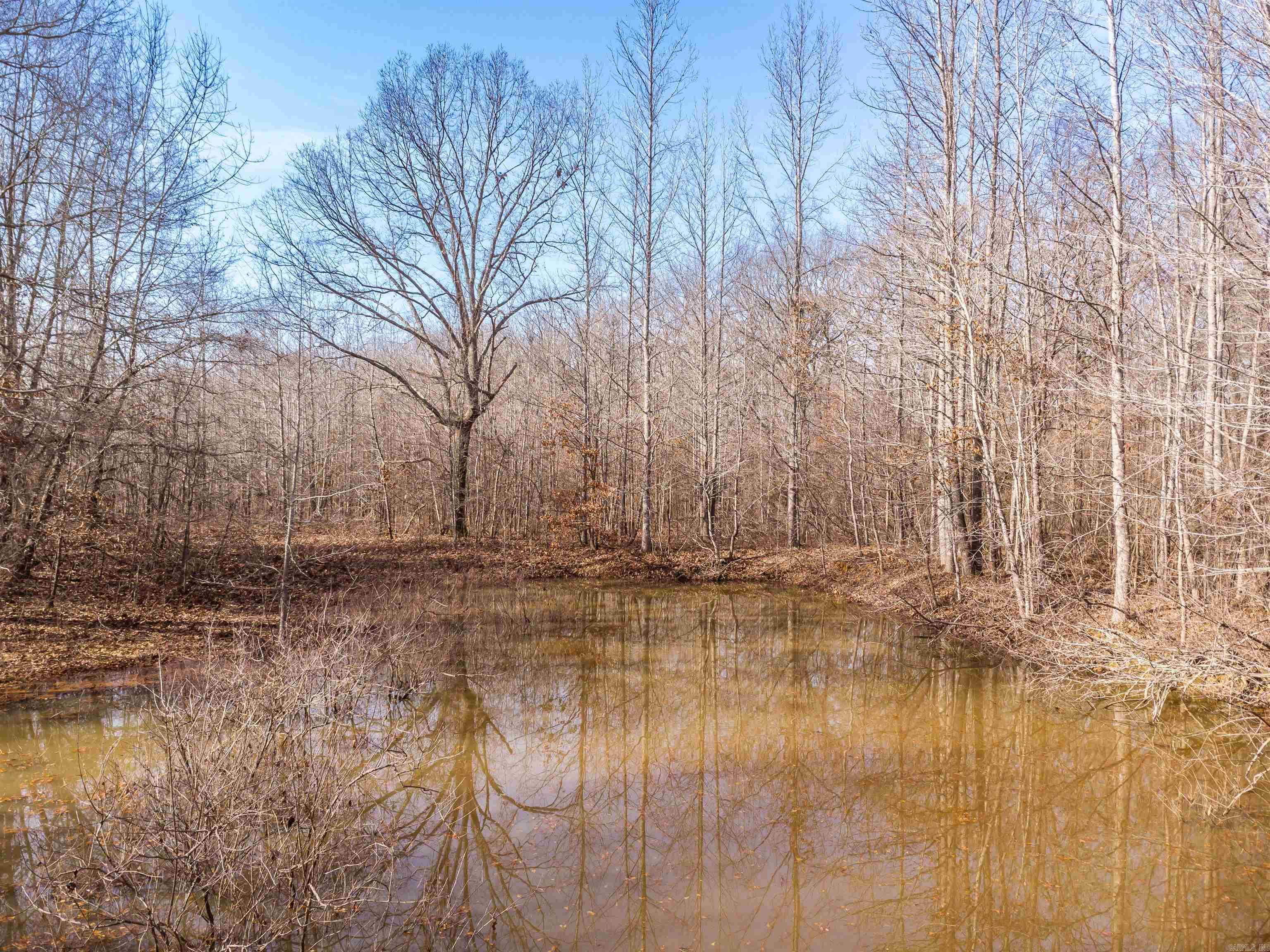 0000 Clay Hill  Austin, AR