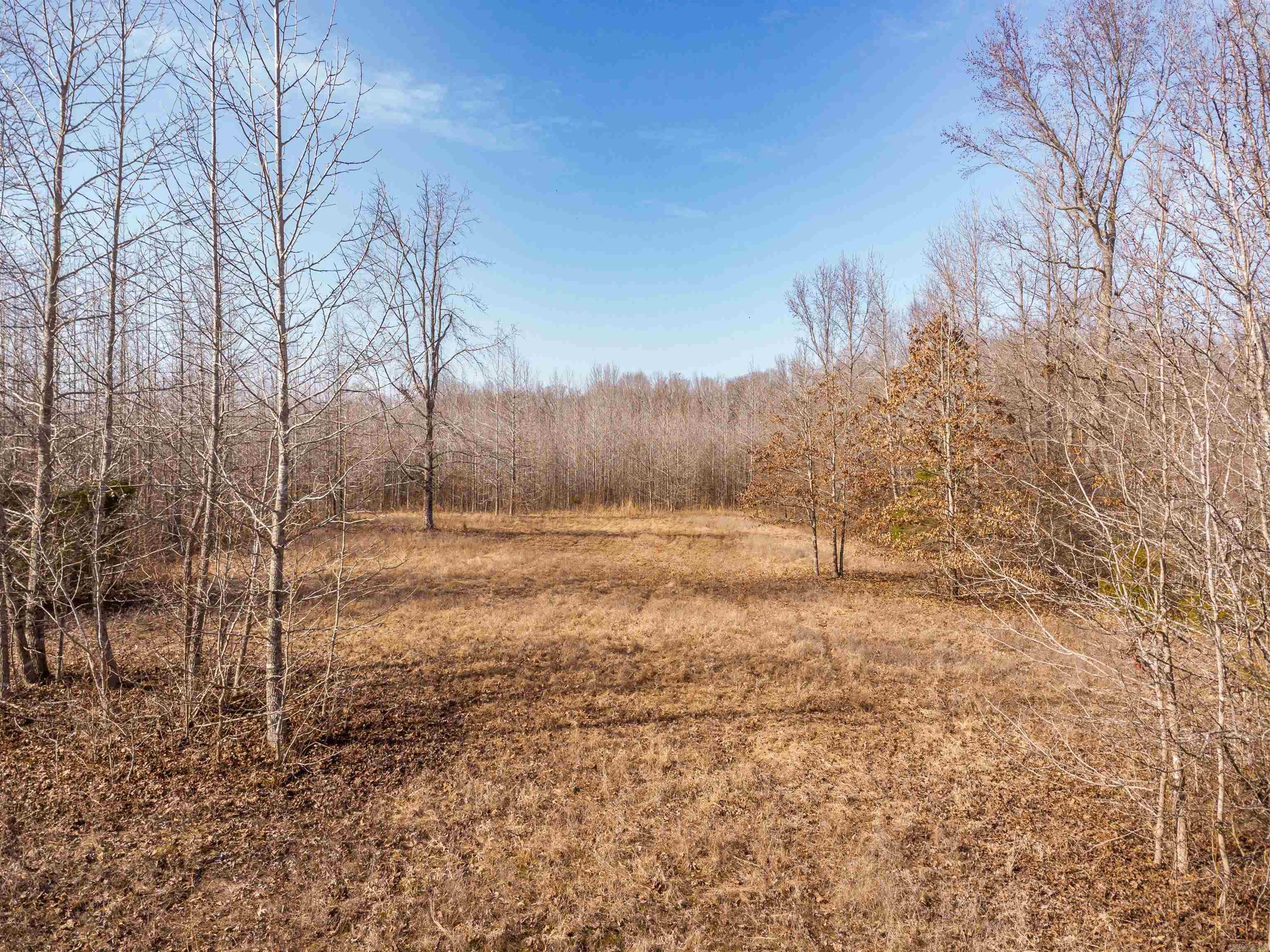 0000 Clay Hill  Austin, AR