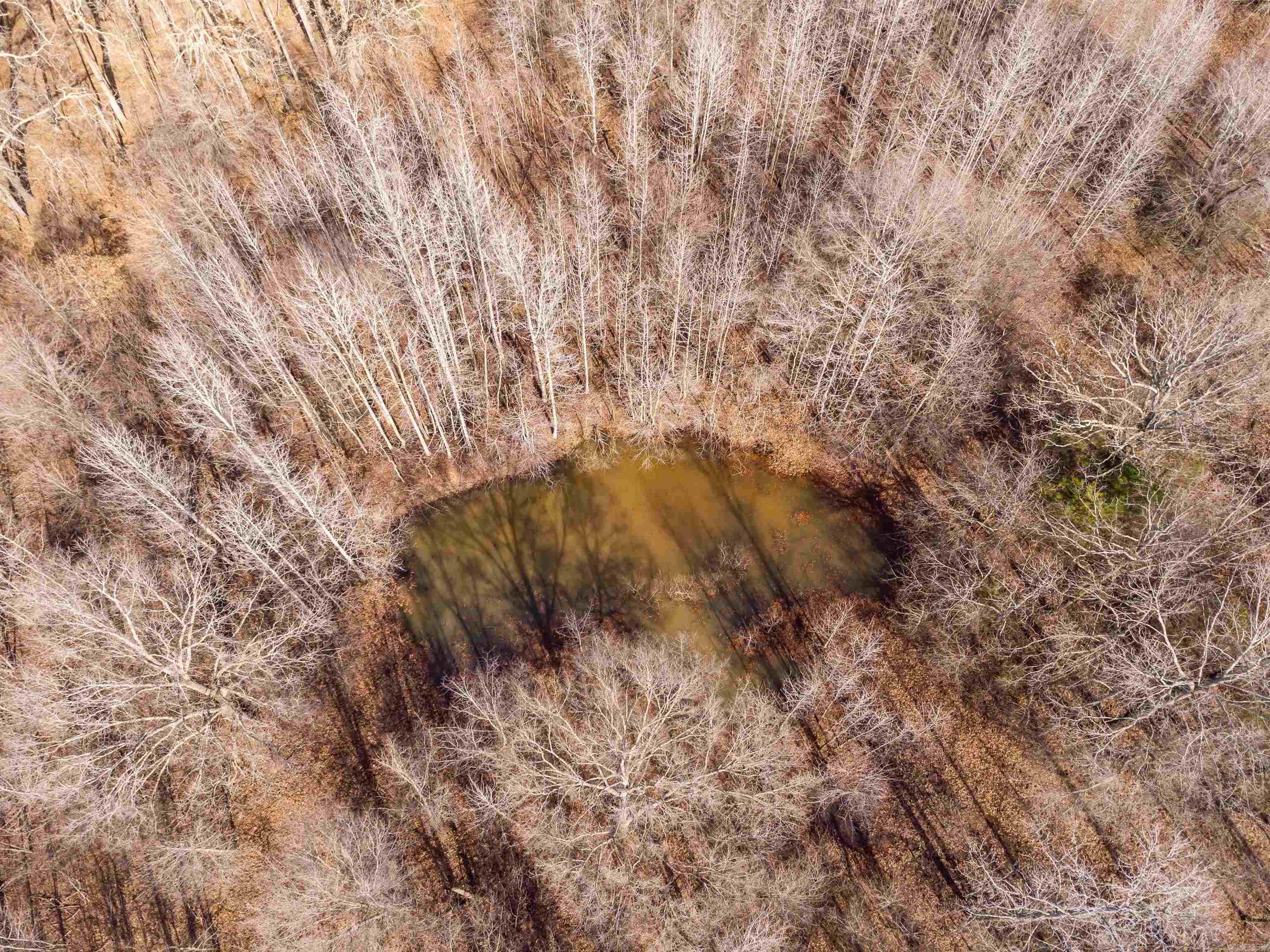 0000 Clay Hill  Austin, AR