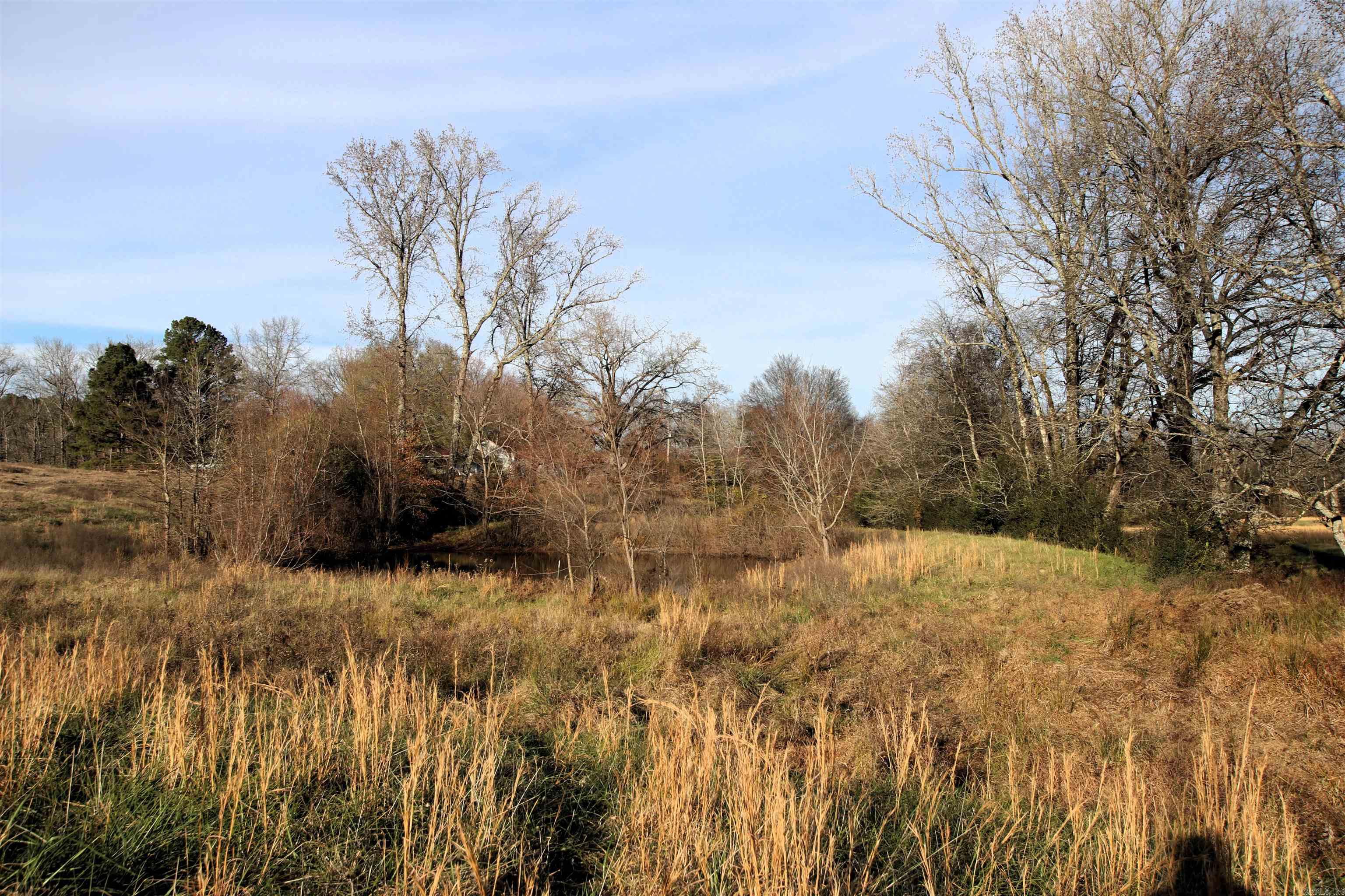 000 Cash Mountain  Malvern, AR