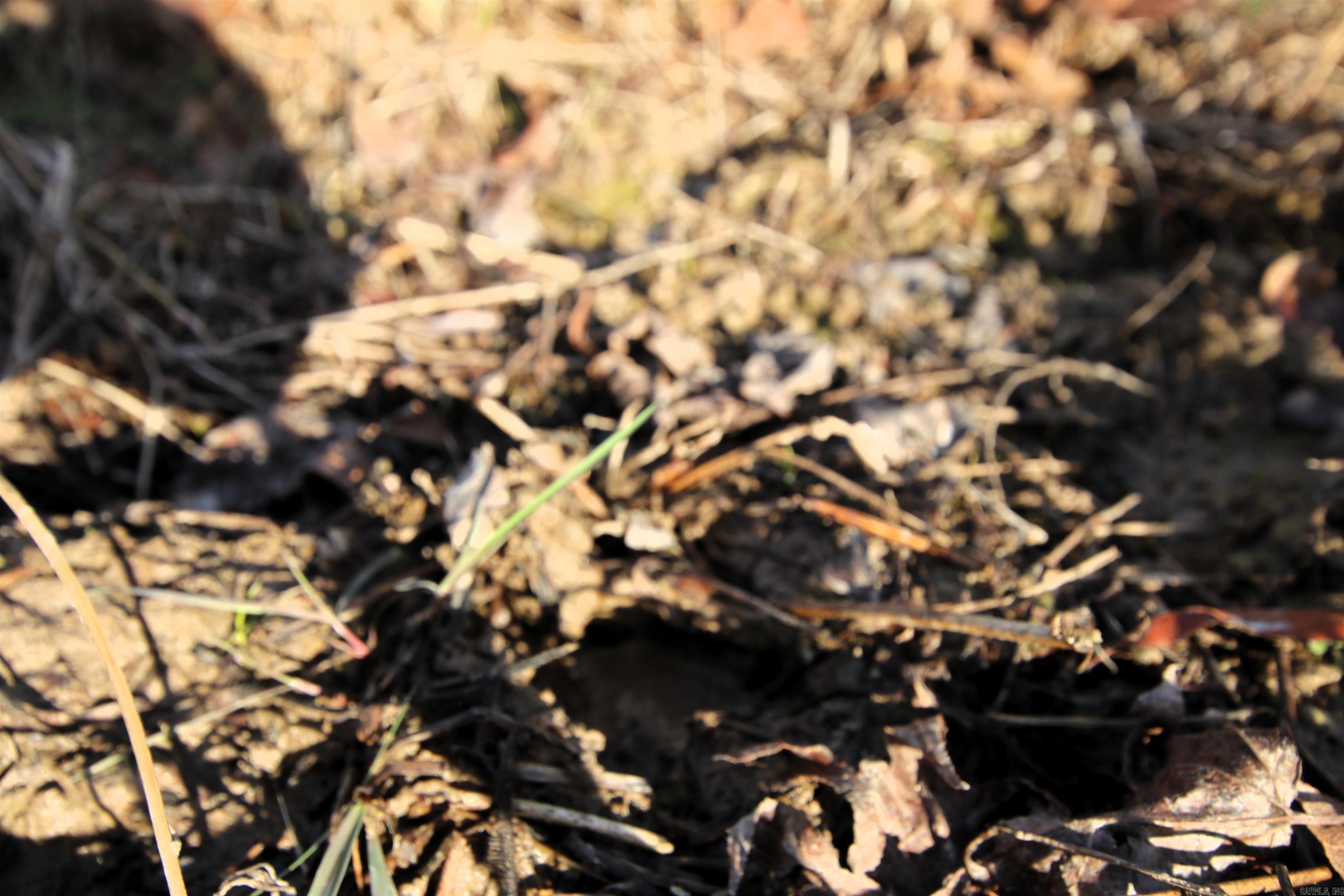 000 Cash Mountain  Malvern, AR