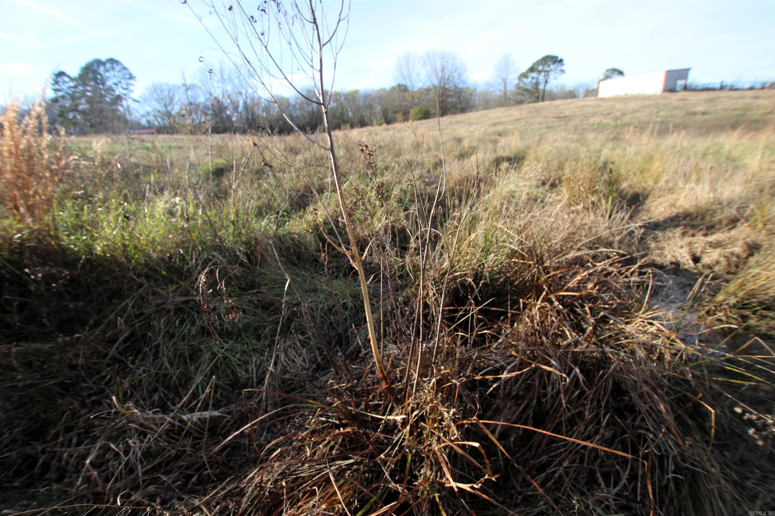000 Cash Mountain  Malvern, AR