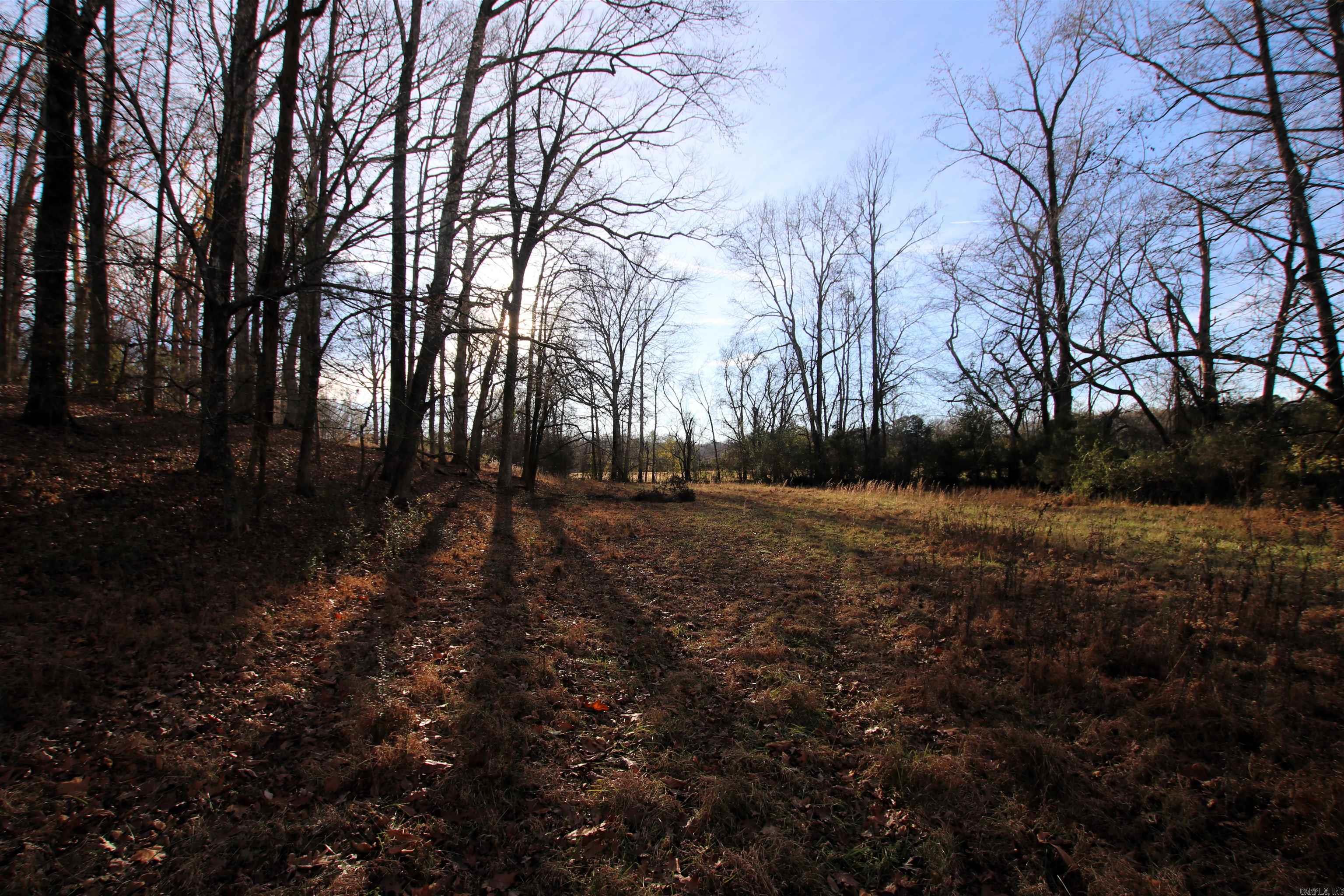 000 Cash Mountain  Malvern, AR