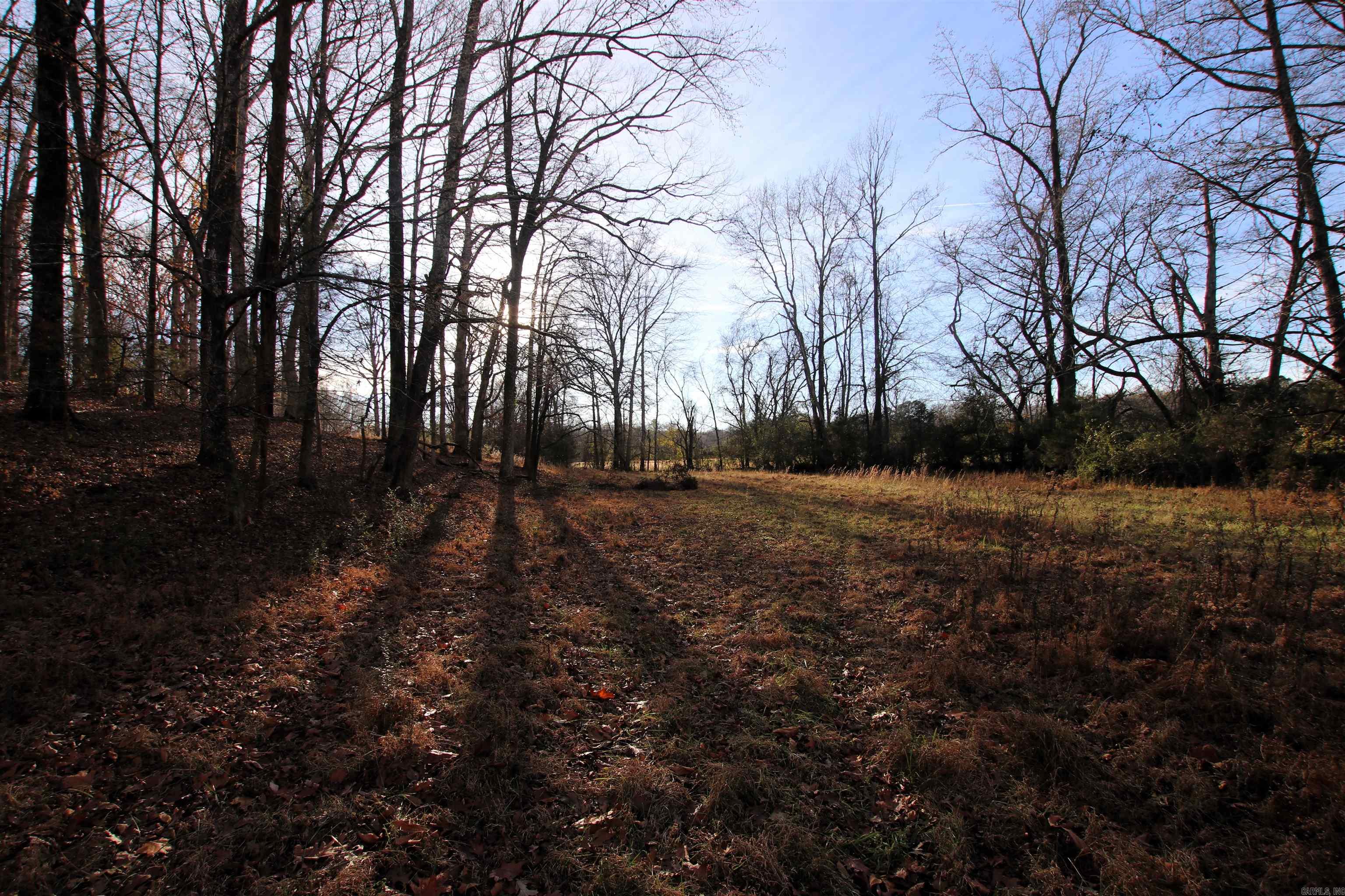 000 Cash Mountain  Malvern, AR