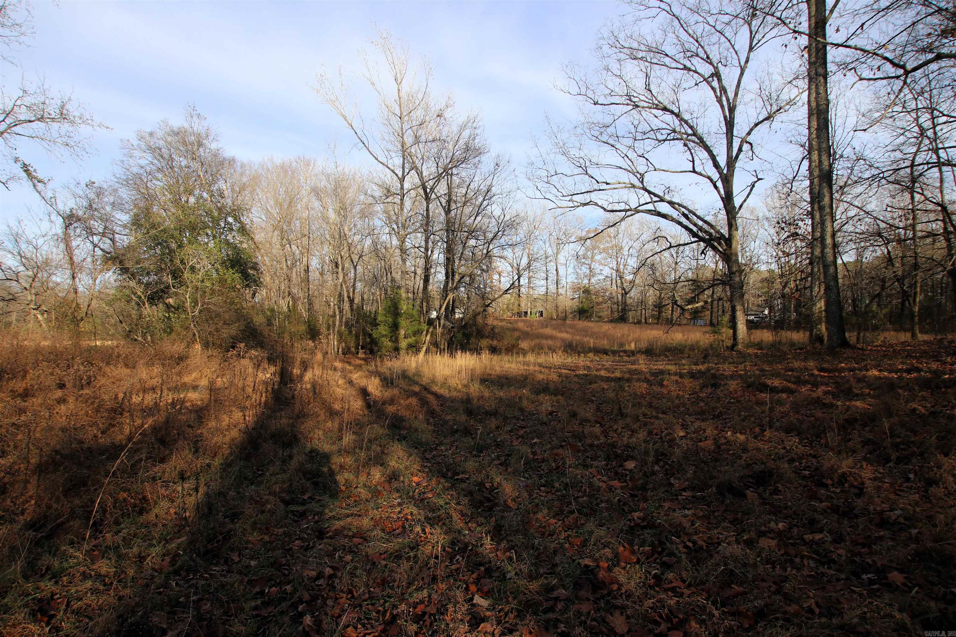 000 Cash Mountain  Malvern, AR