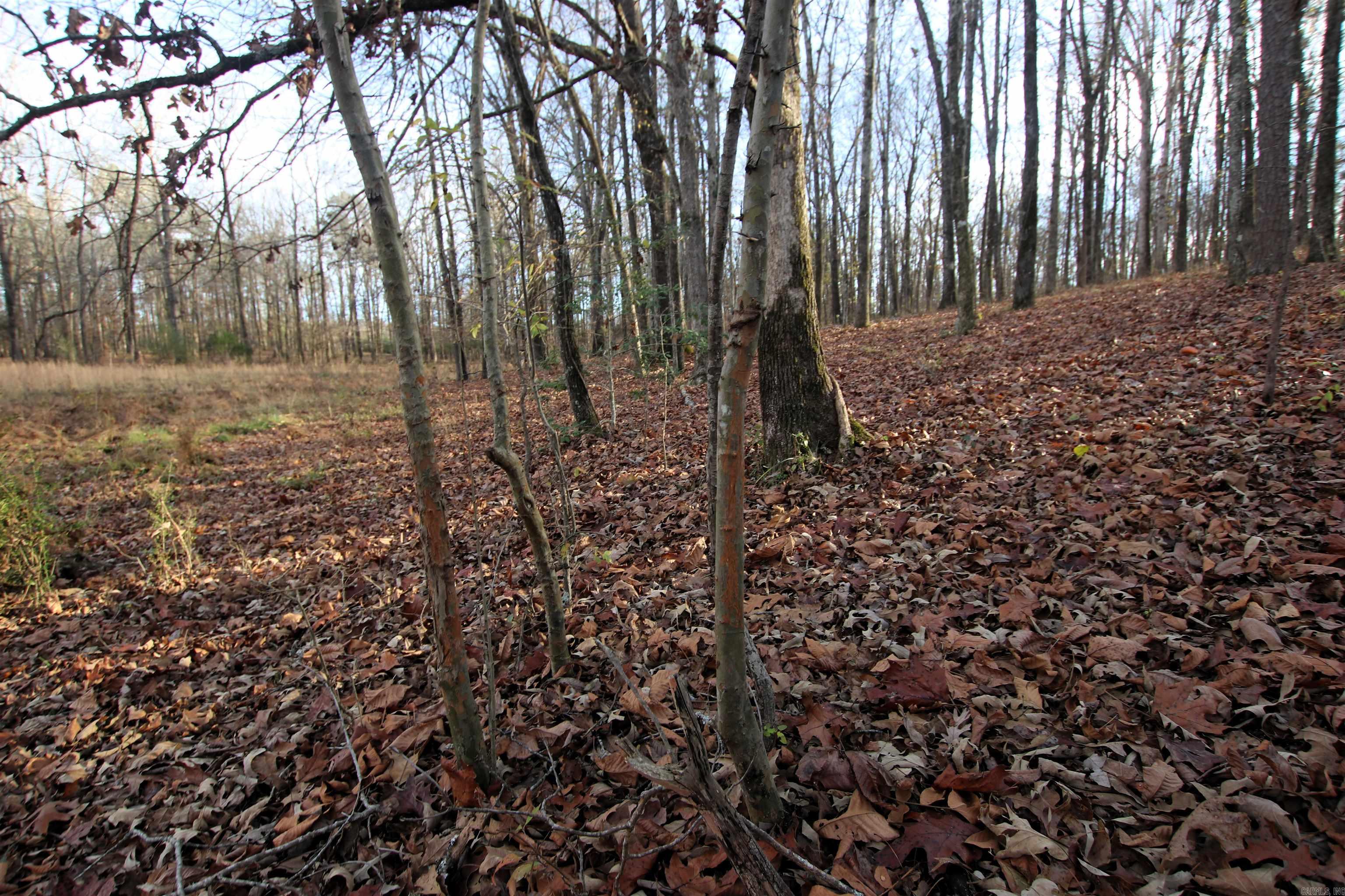 000 Cash Mountain  Malvern, AR