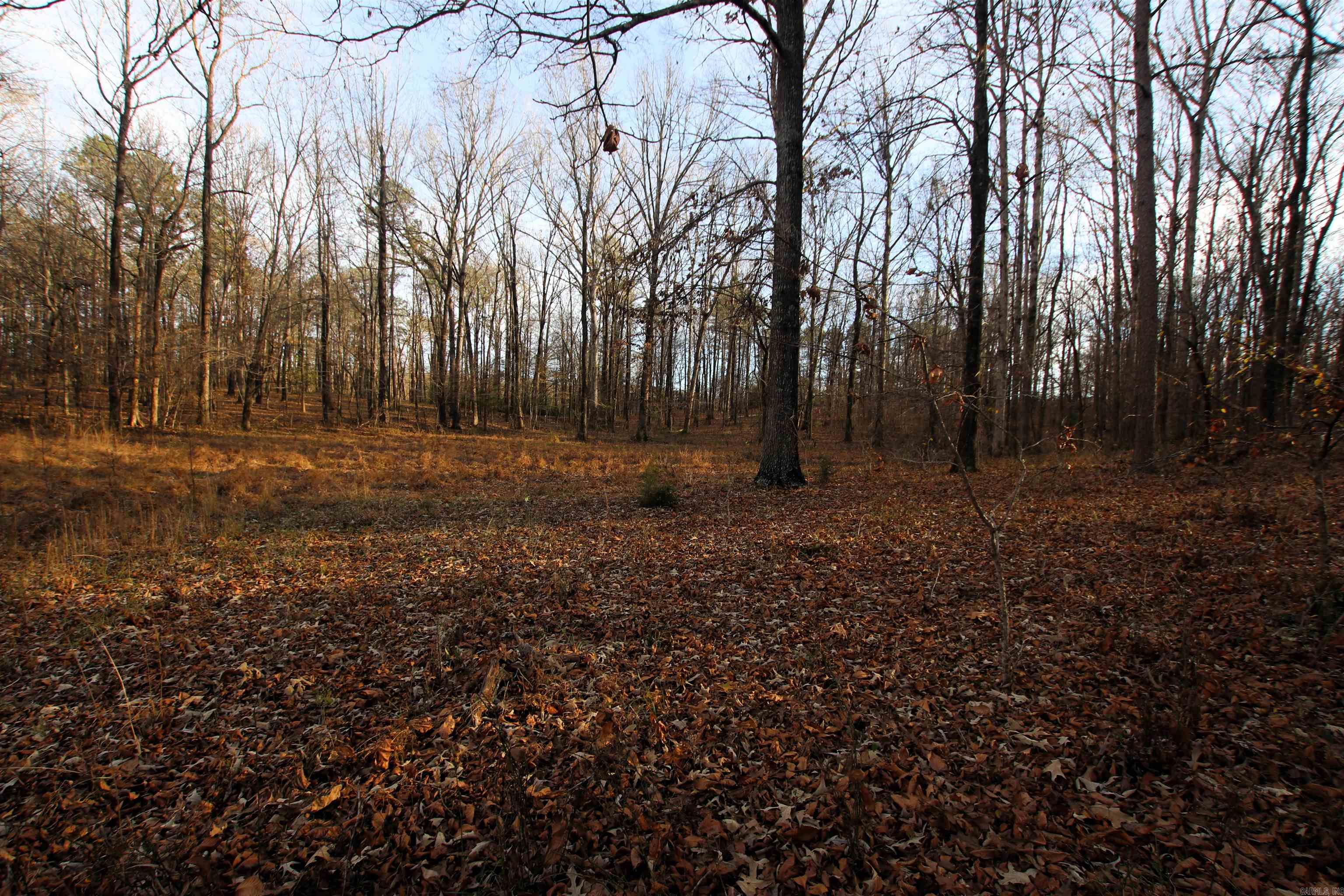 000 Cash Mountain  Malvern, AR