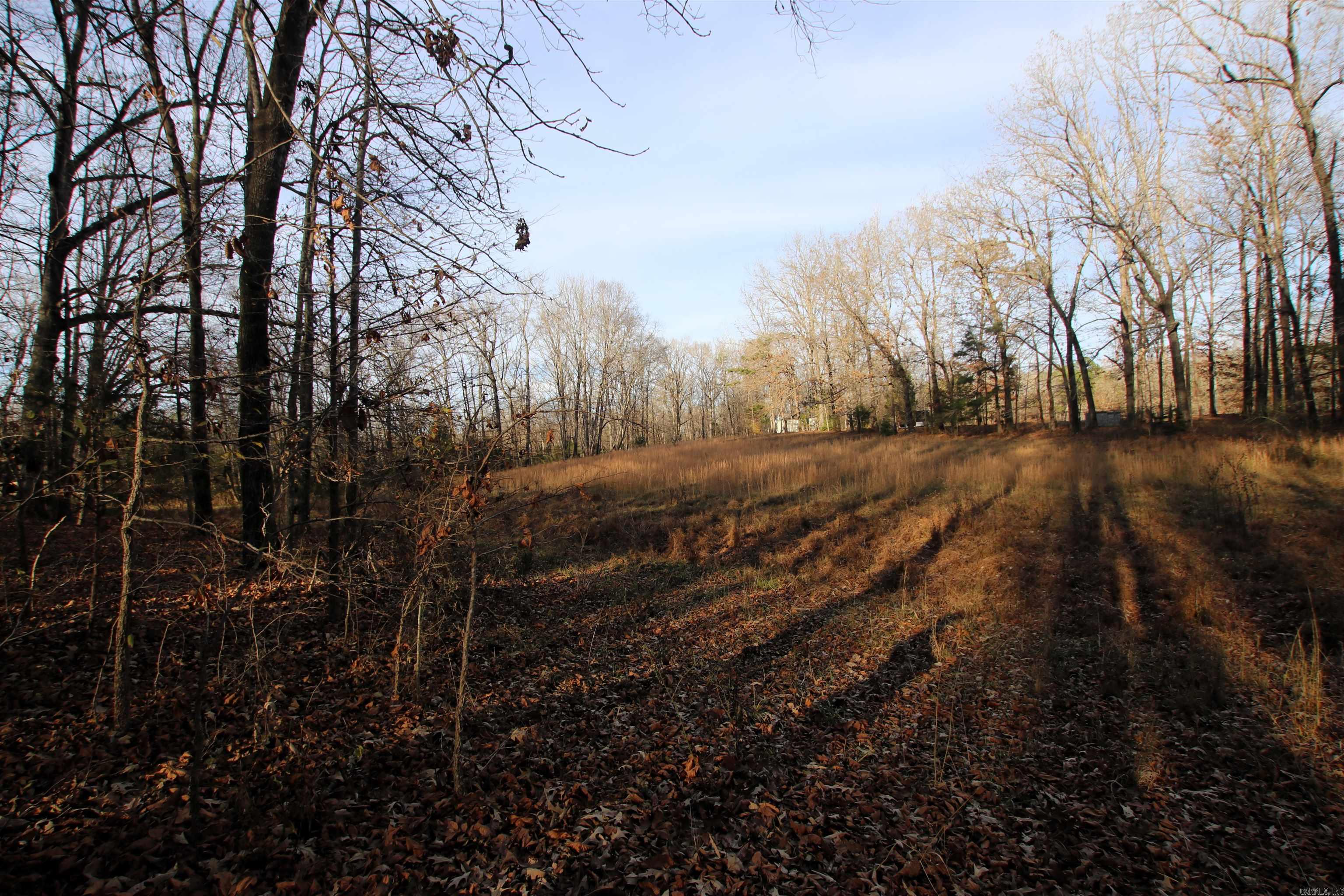 000 Cash Mountain  Malvern, AR