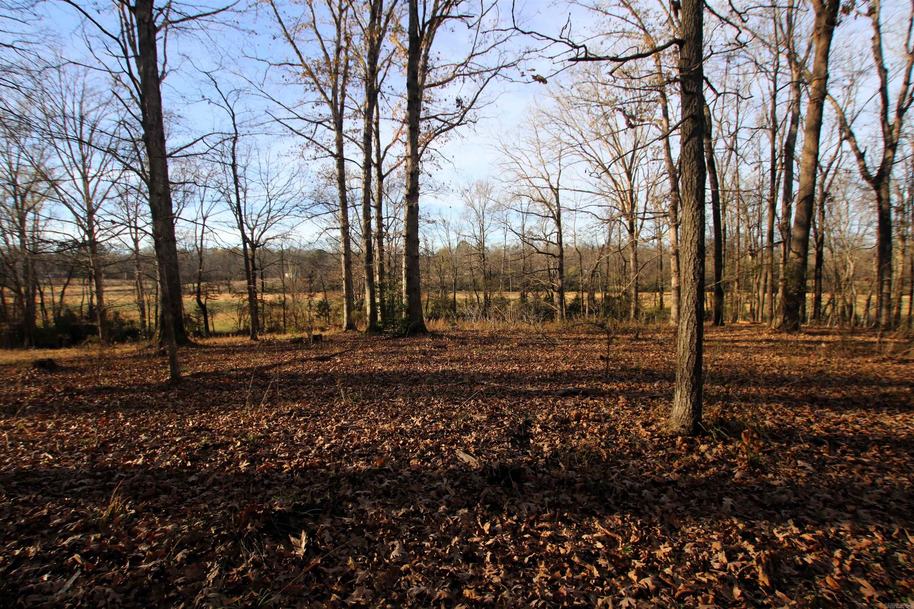 000 Cash Mountain  Malvern, AR