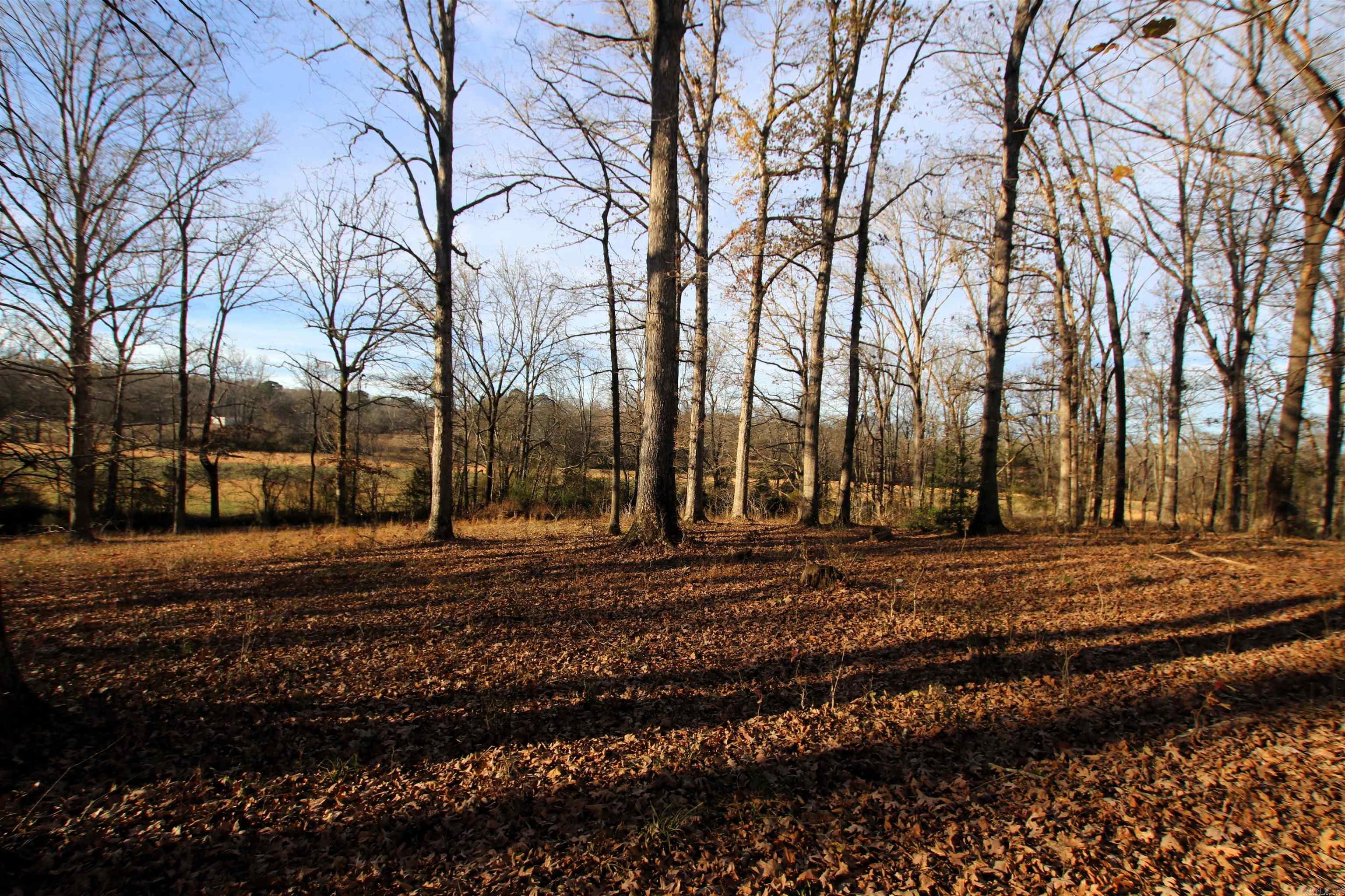 000 Cash Mountain  Malvern, AR